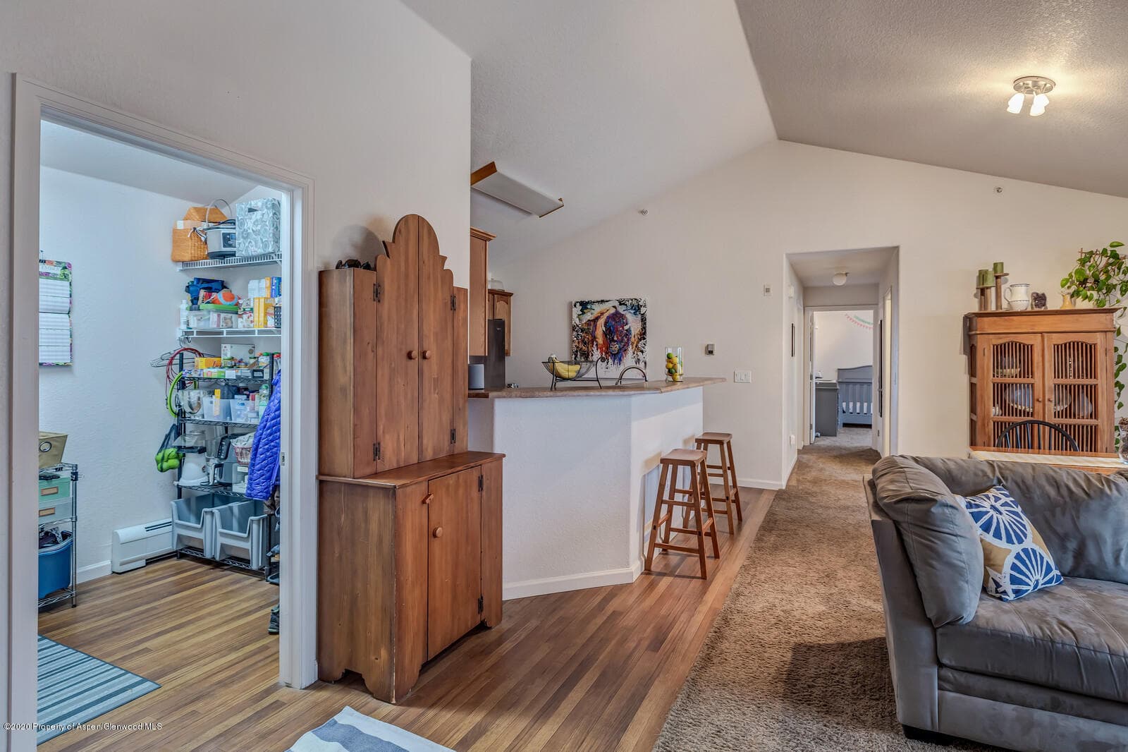 488 River View Drive 407, New Castle, CO 81647 - Photo 5