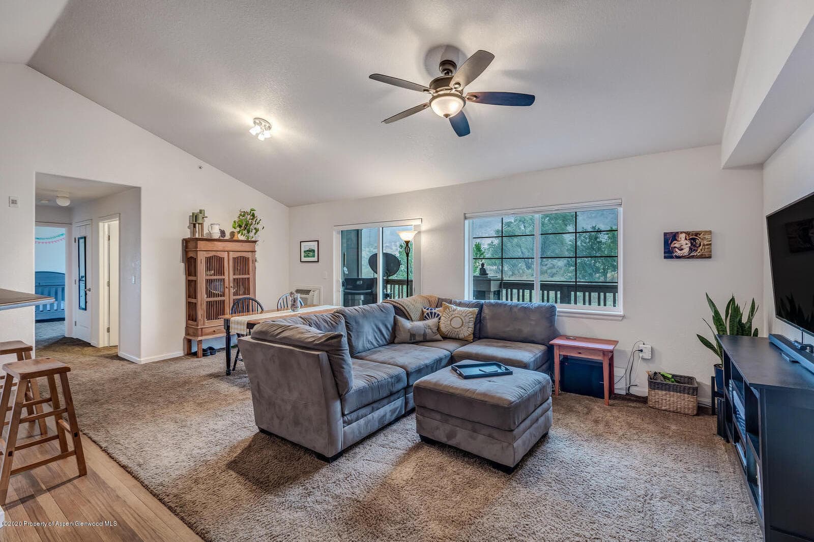 488 River View Drive 407, New Castle, CO 81647 - Photo 3