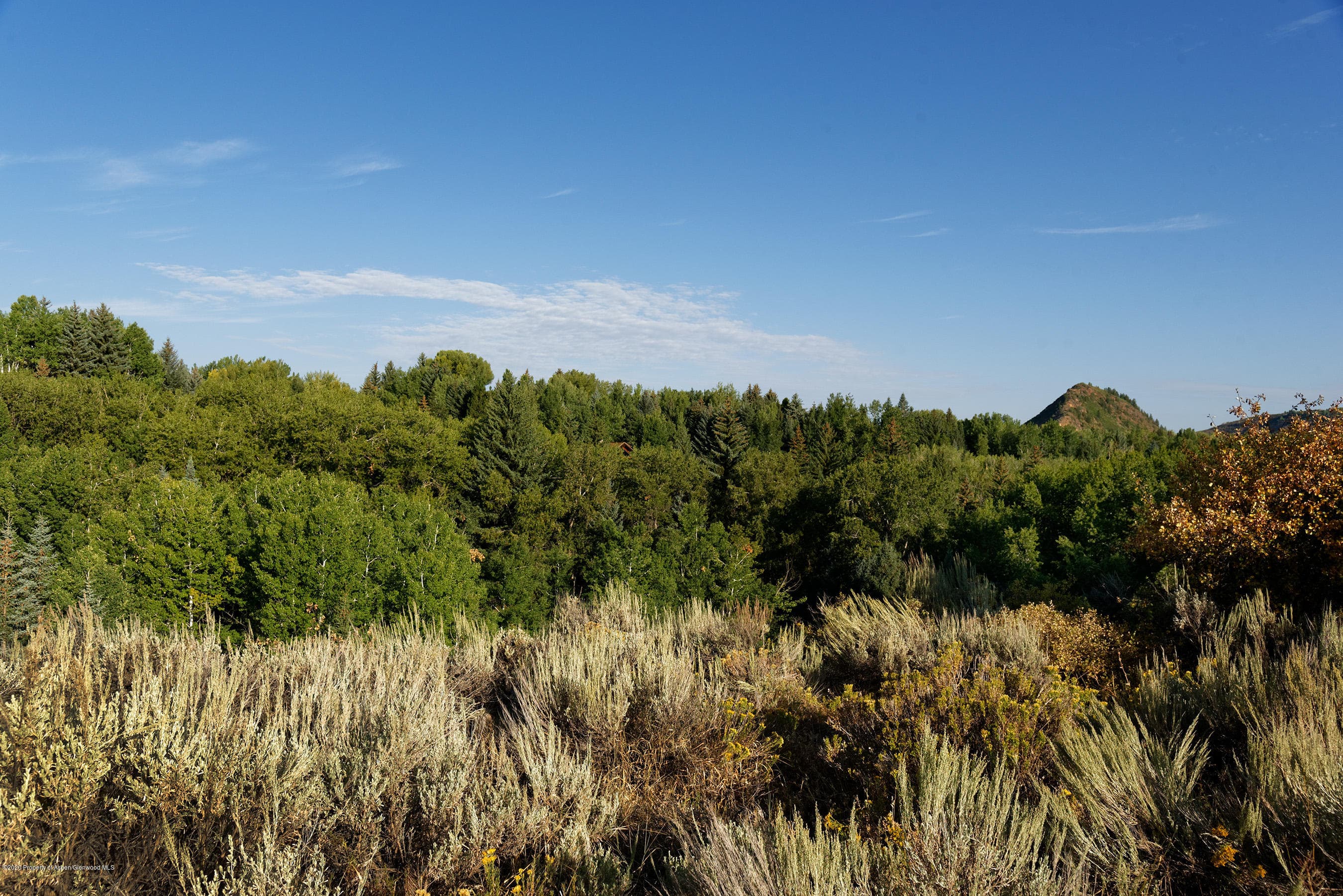 TBD W Smuggler Street, Aspen, CO 81611 - Photo 12