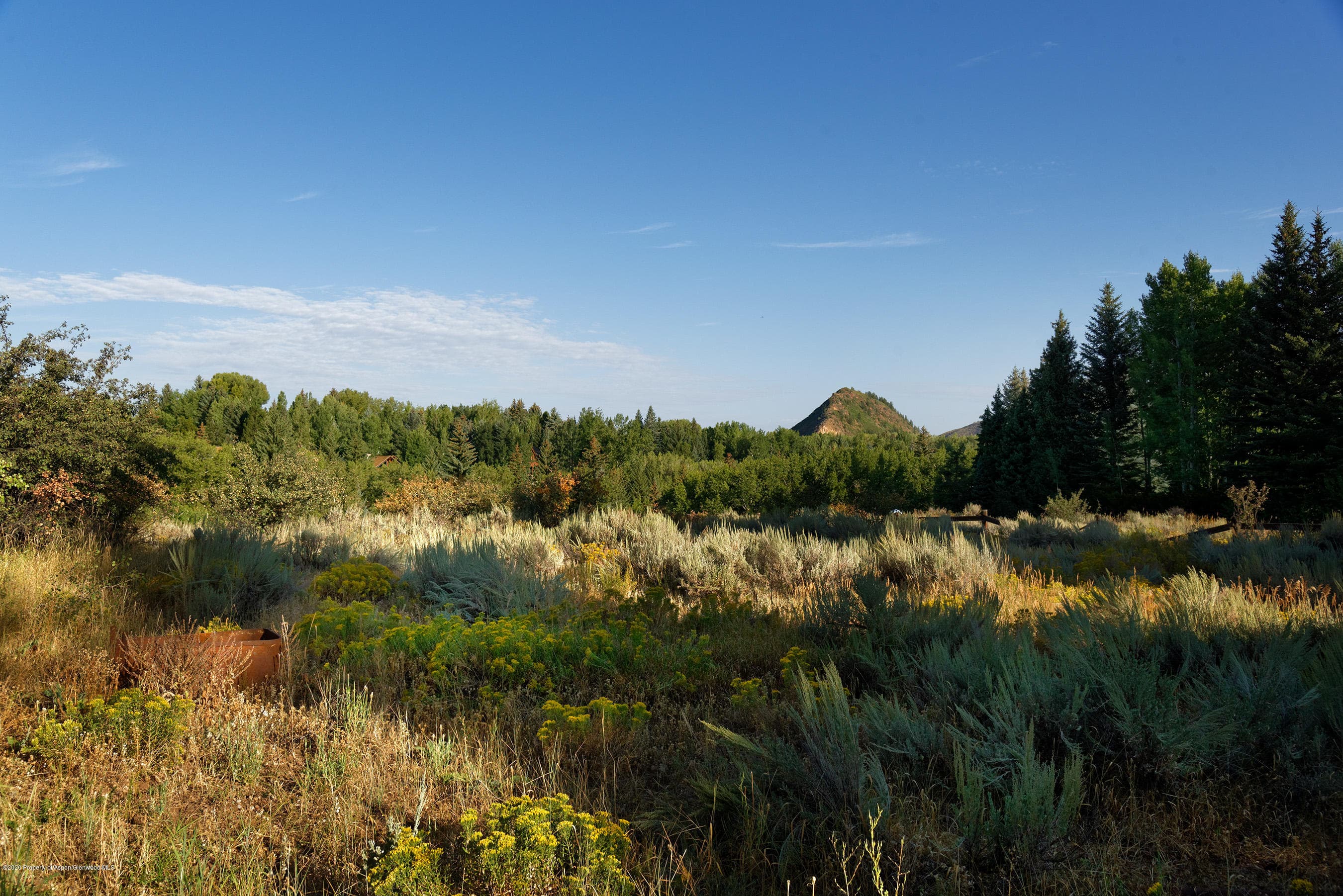 TBD W Smuggler Street, Aspen, CO 81611 - Photo 13