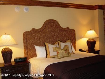 315 E Dean Street B60, Aspen, CO 81611 - Photo 12