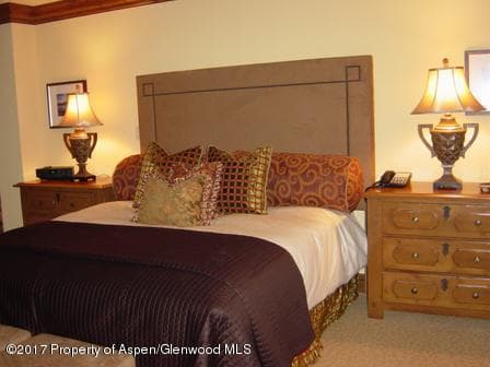315 E Dean Street B60, Aspen, CO 81611 - Photo 19