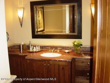 315 E Dean Street B60, Aspen, CO 81611 - Photo 23