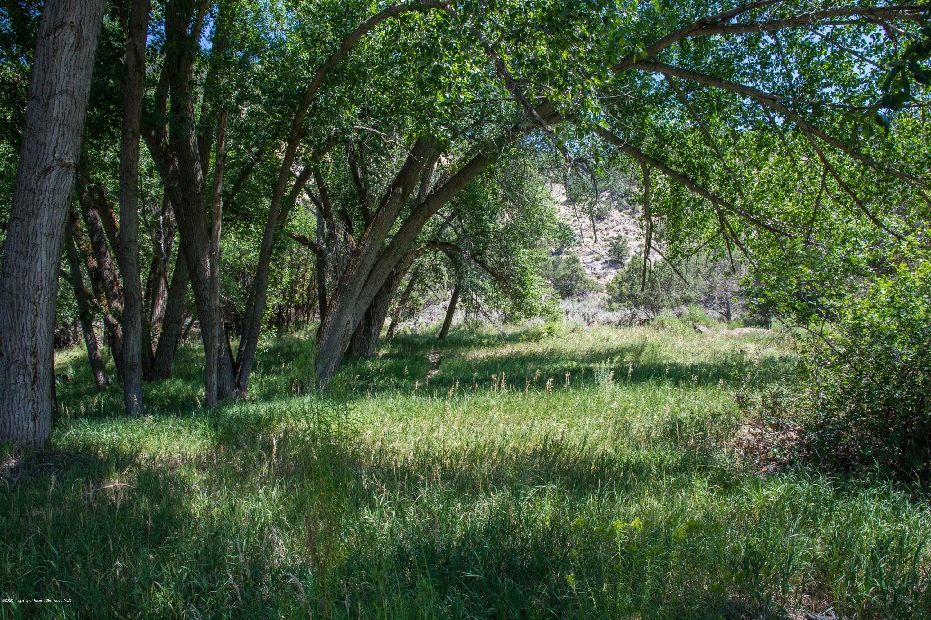 27 Larkspur Drive, Carbondale, CO 81623 - Photo 4