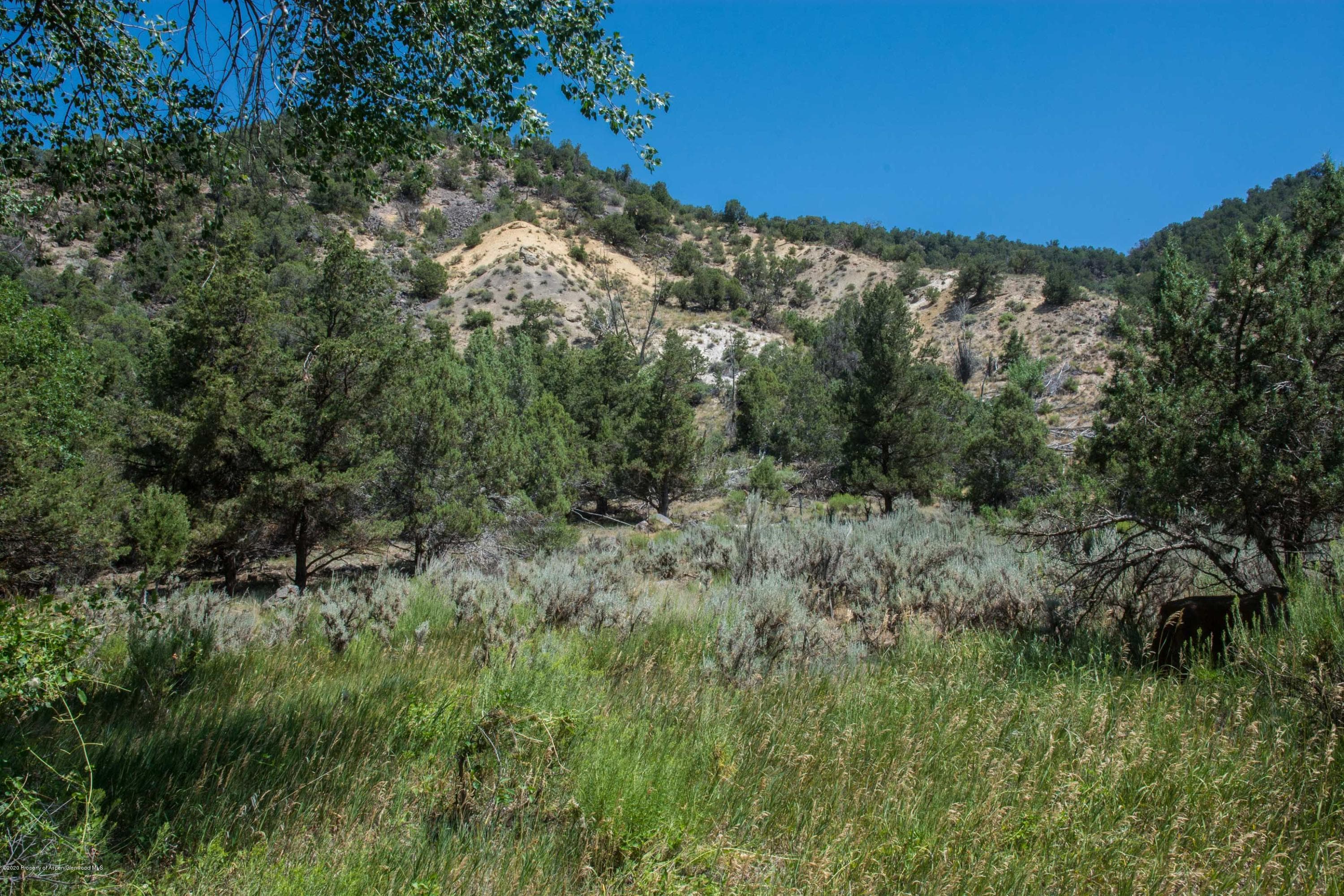 27 Larkspur Drive, Carbondale, CO 81623 - Photo 3