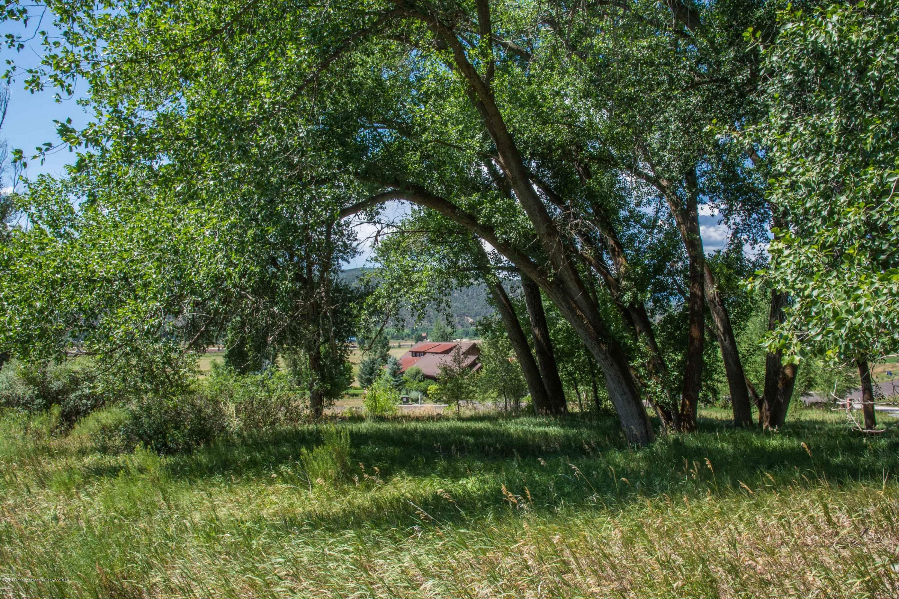 27 Larkspur Drive, Carbondale, CO 81623 - Photo 5