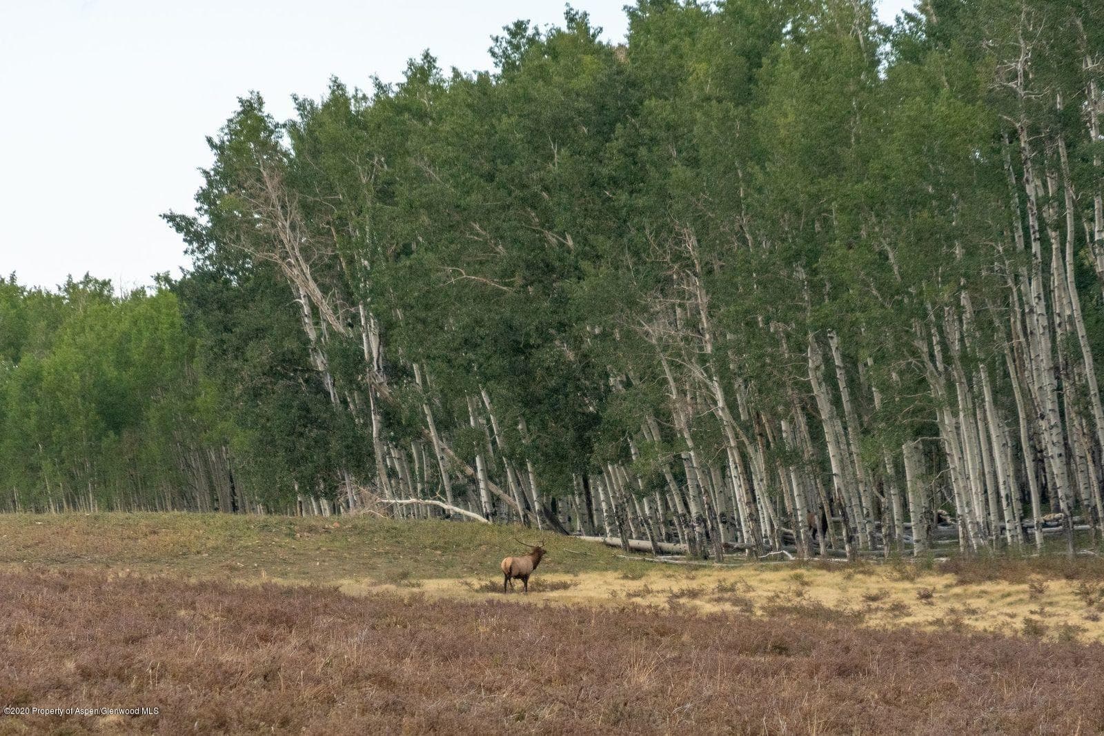 tbd East Specie Mesa, Telluride, CO 81435 - Photo 6