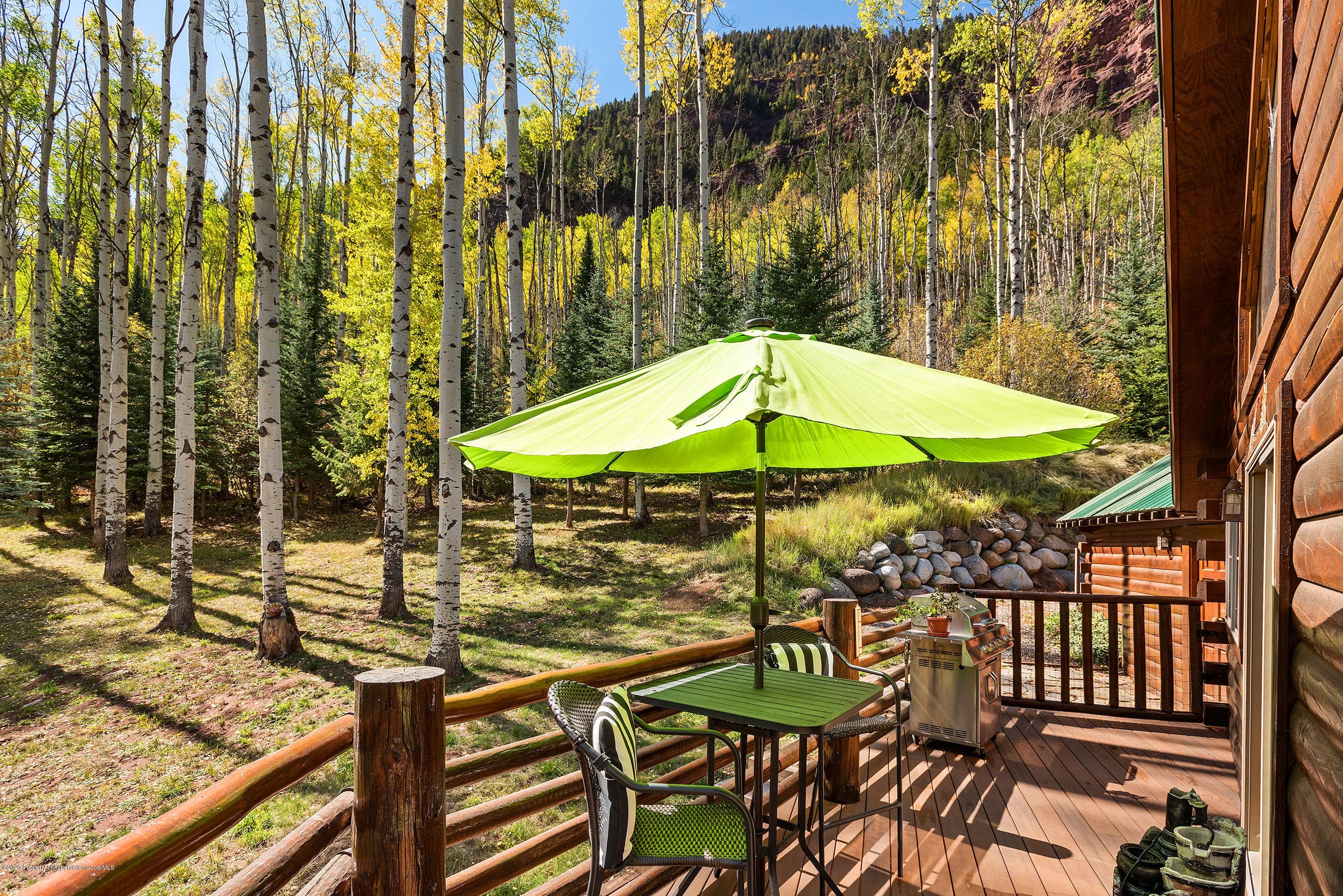 450 Coal Creek Road, Redstone, CO 81623 - Photo 4