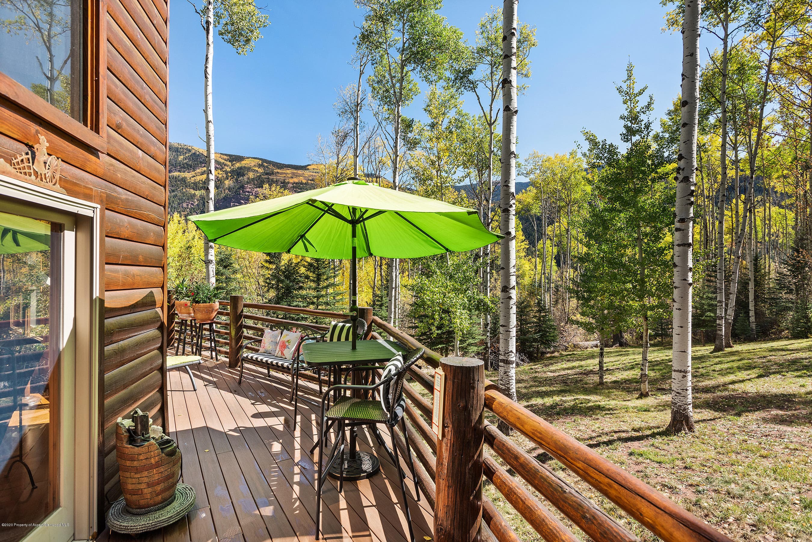 450 Coal Creek Road, Redstone, CO 81623 - Photo 5