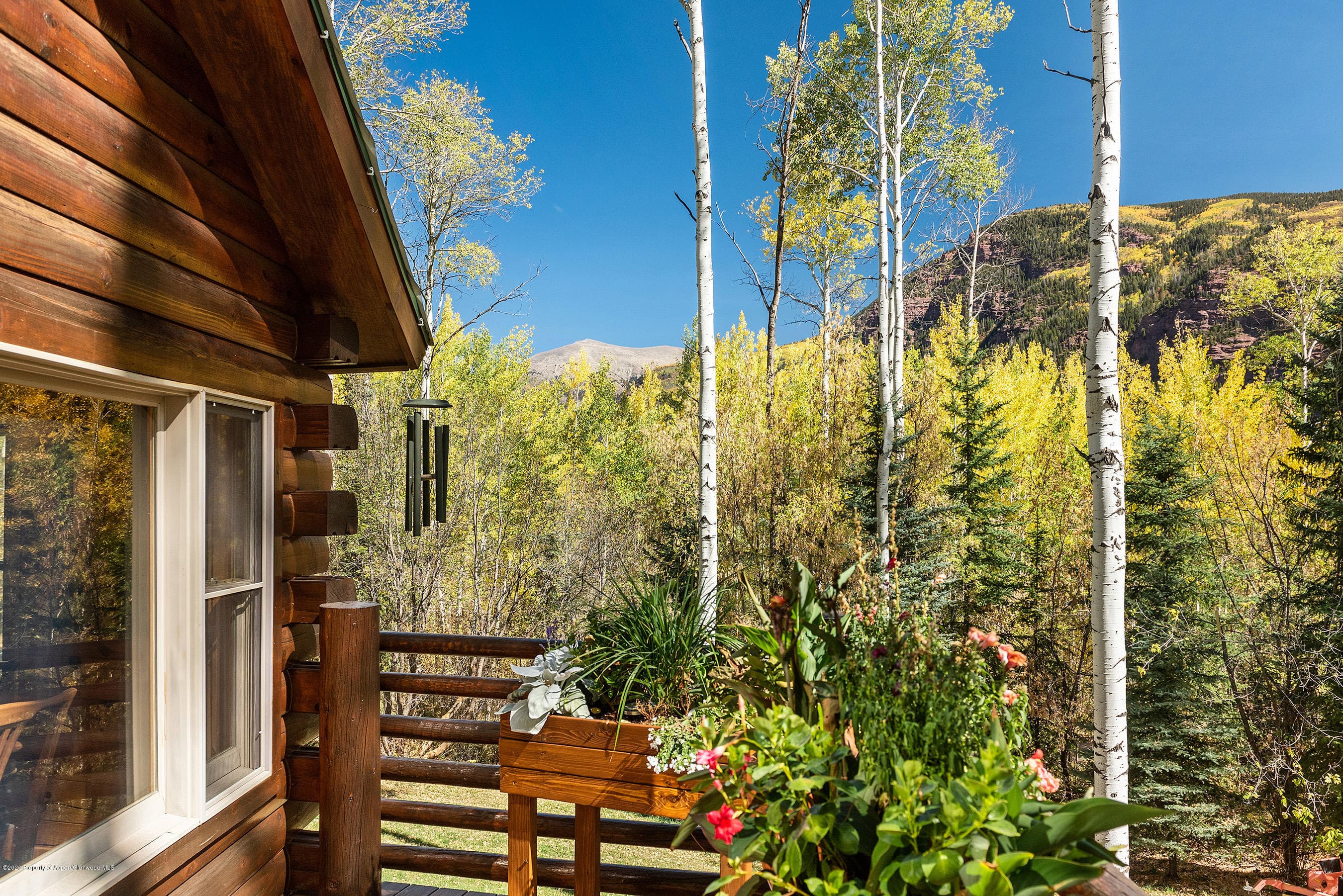 450 Coal Creek Road, Redstone, CO 81623 - Photo 7