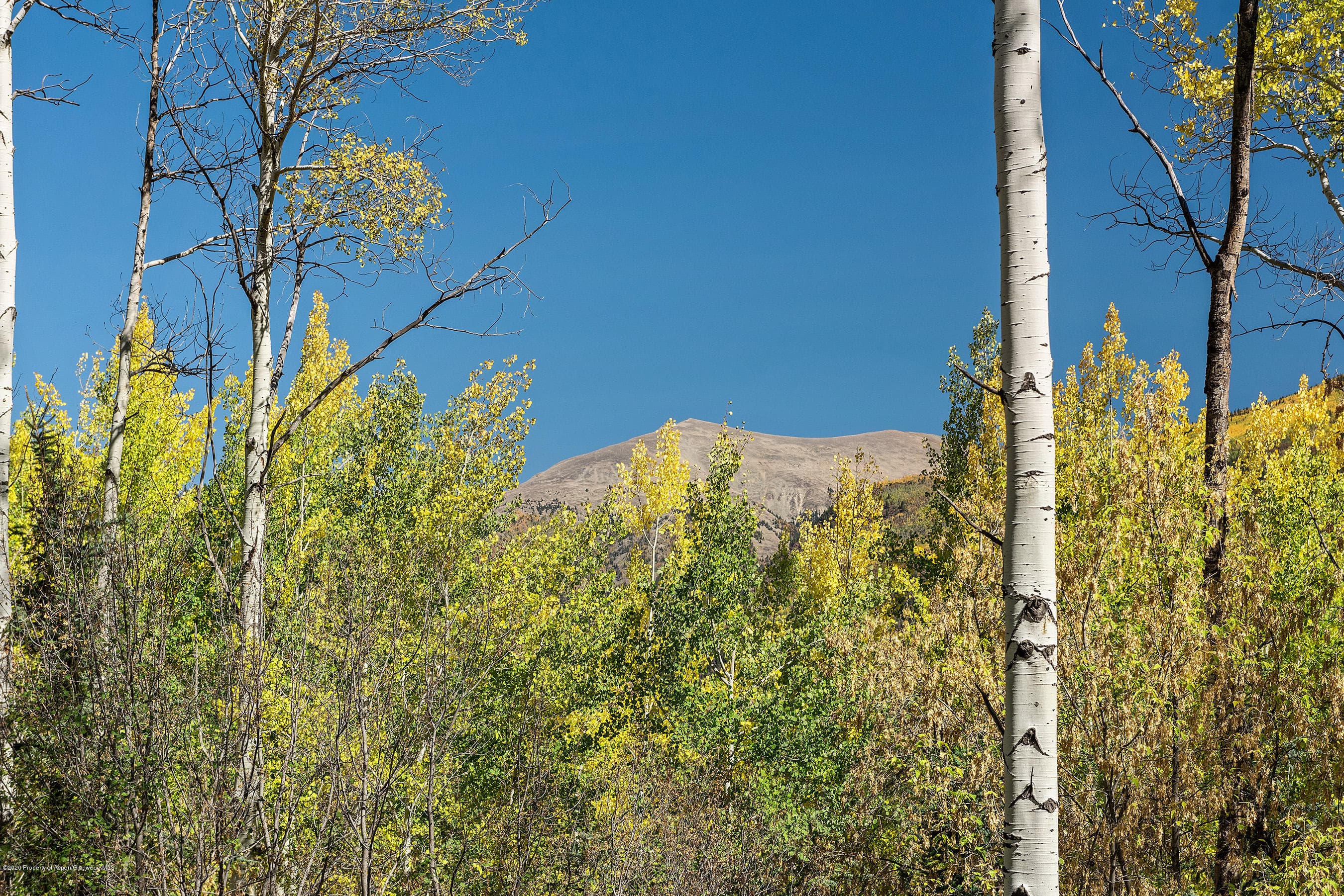 450 Coal Creek Road, Redstone, CO 81623 - Photo 30