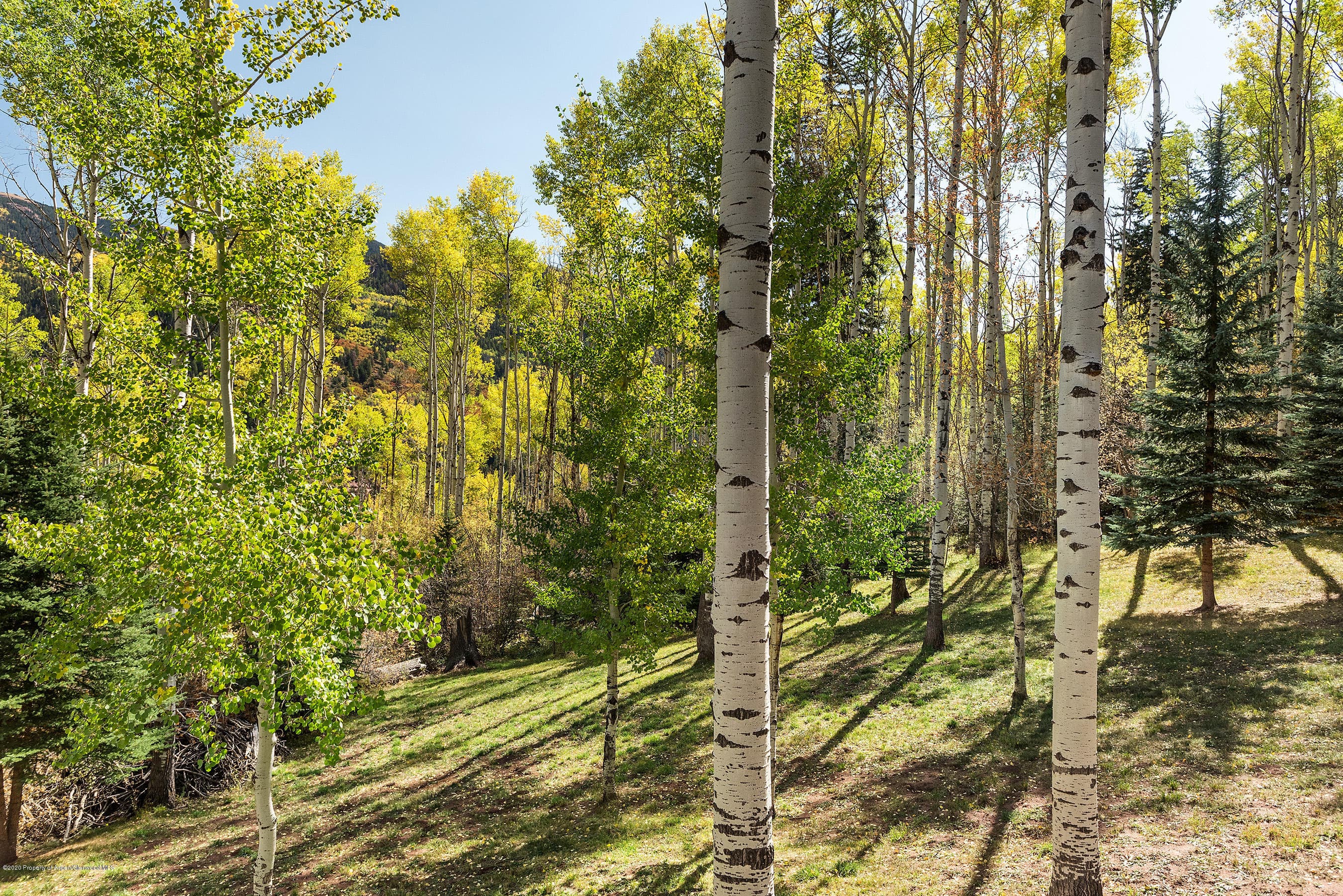 450 Coal Creek Road, Redstone, CO 81623 - Photo 31