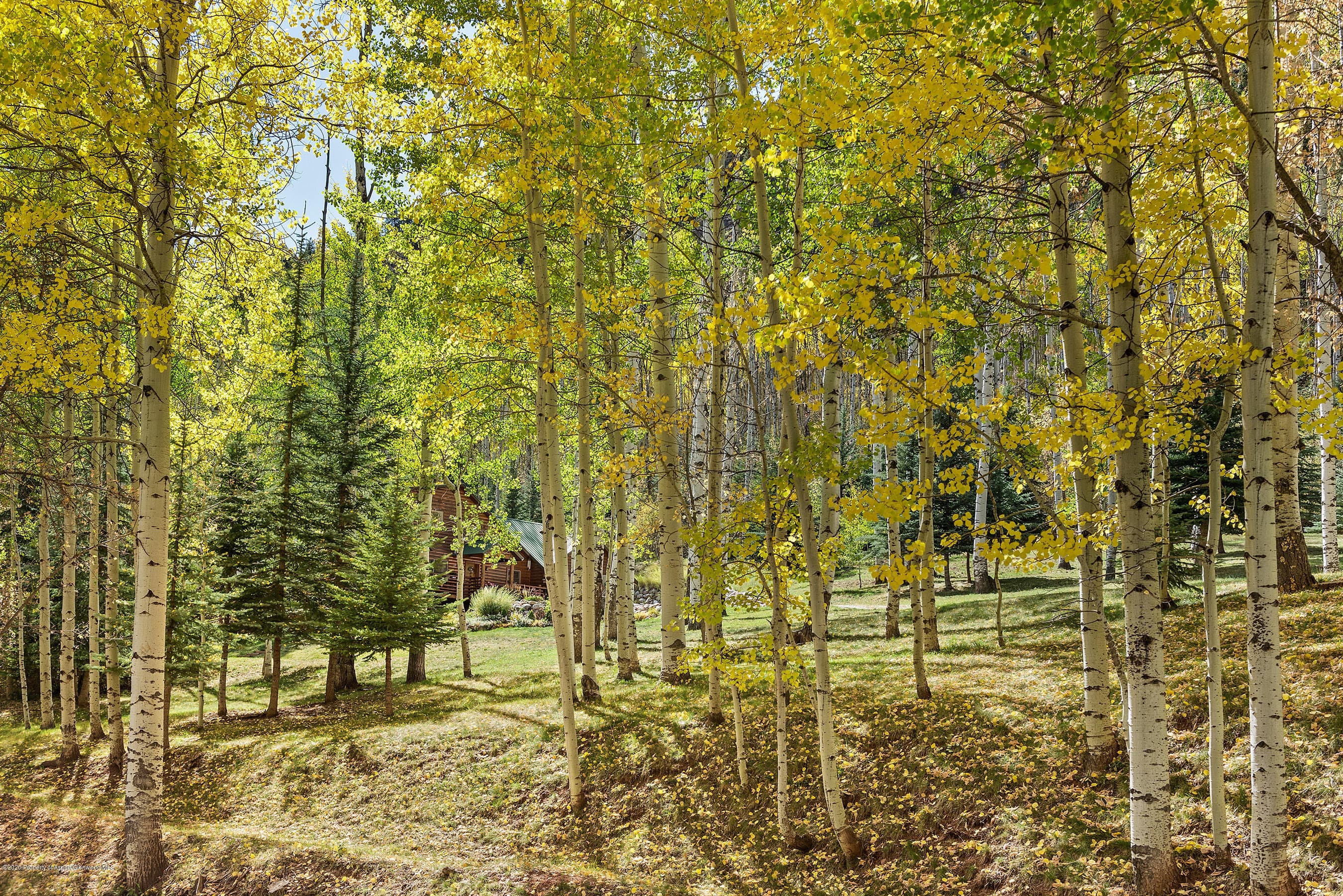 450 Coal Creek Road, Redstone, CO 81623 - Photo 37