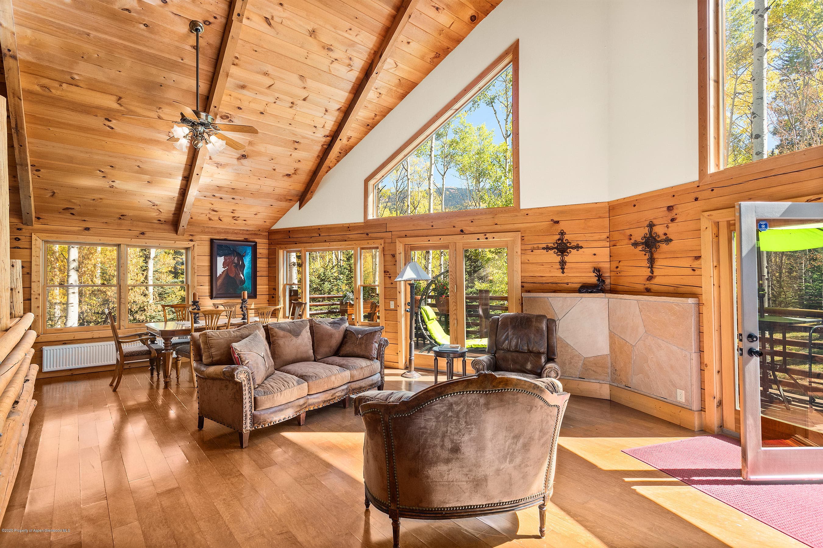 450 Coal Creek Road, Redstone, CO 81623 - Photo 8