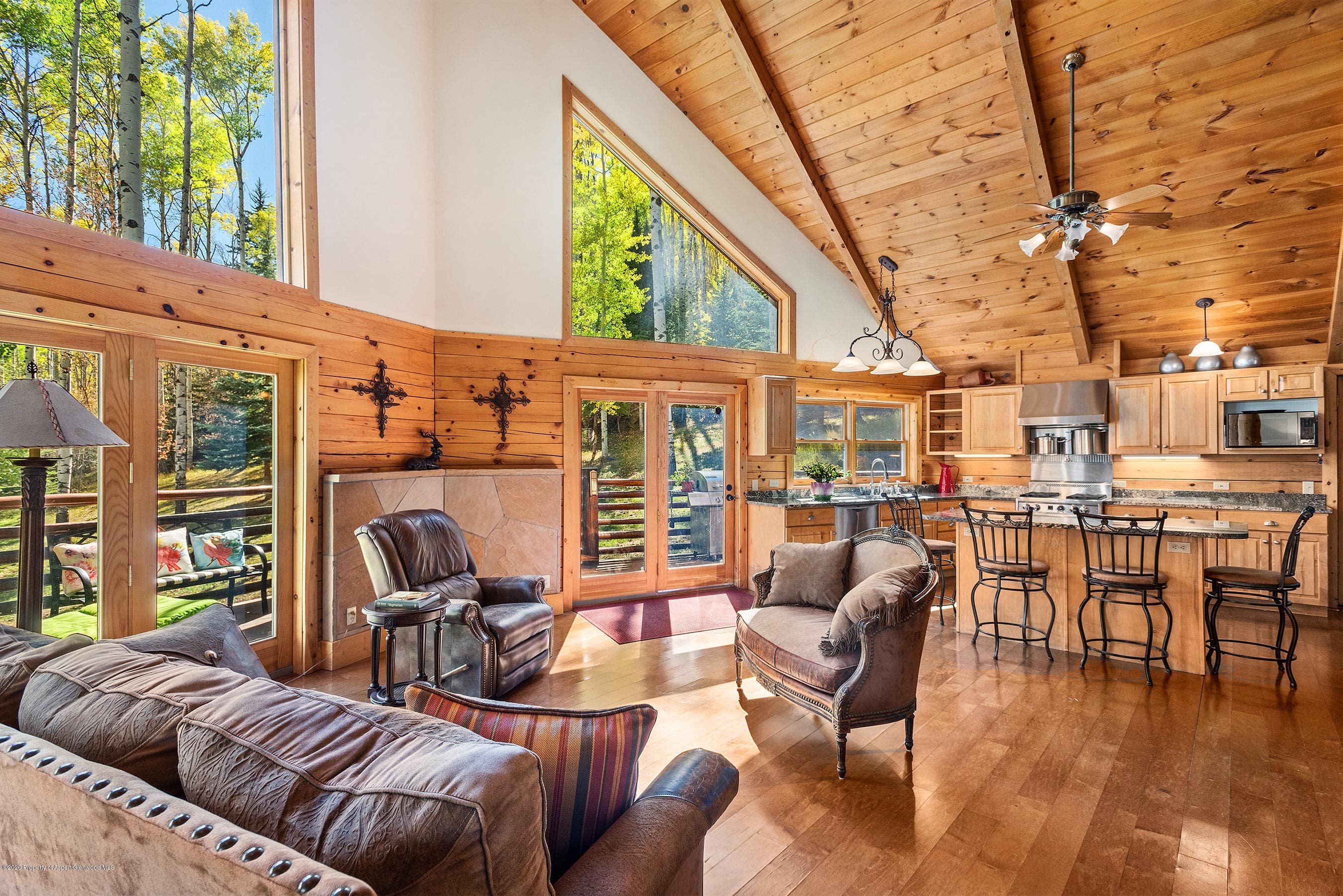 450 Coal Creek Road, Redstone, CO 81623 - Photo 3
