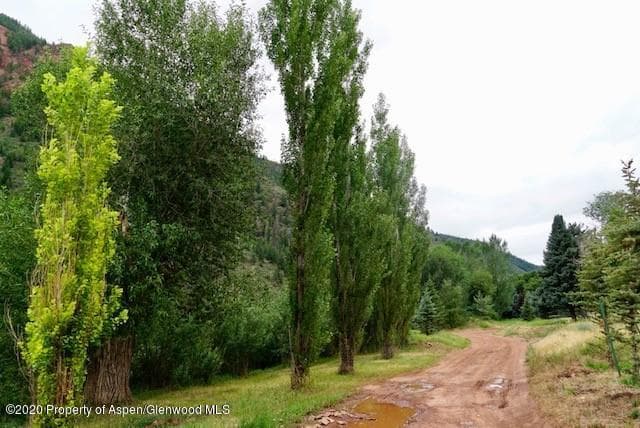 4959 Frying Pan Road, Basalt, CO 81621 - Photo 13