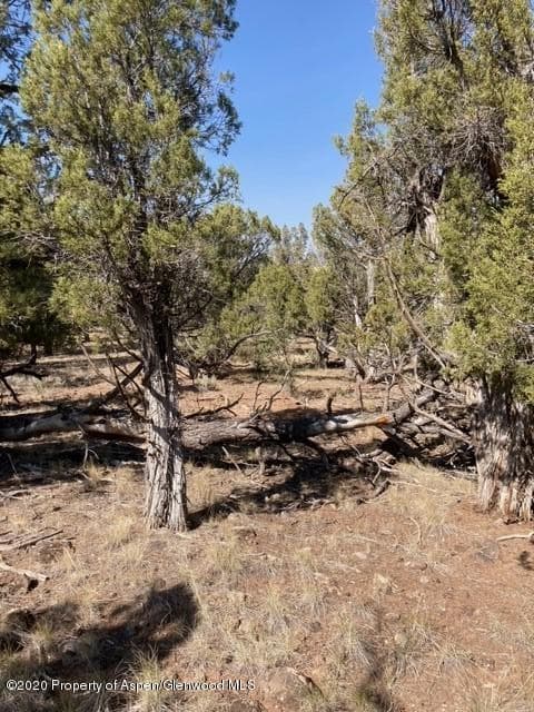 400 Juniper Drive, Glenwood Springs, CO 81601 - Photo 8