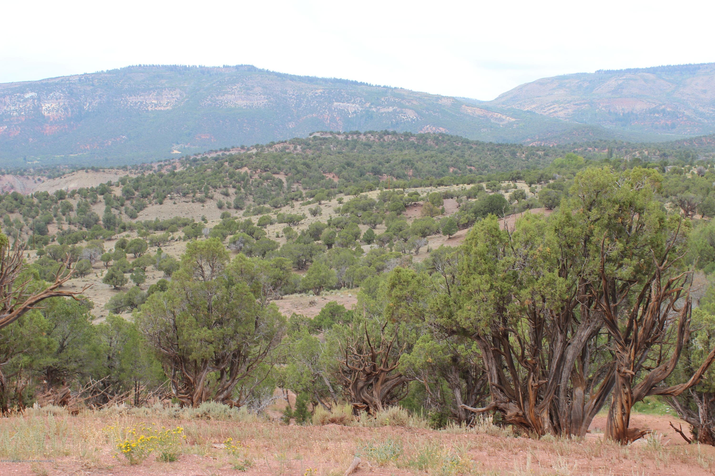 32323 Colorado River Road, McCoy, CO 80463 - Photo 21