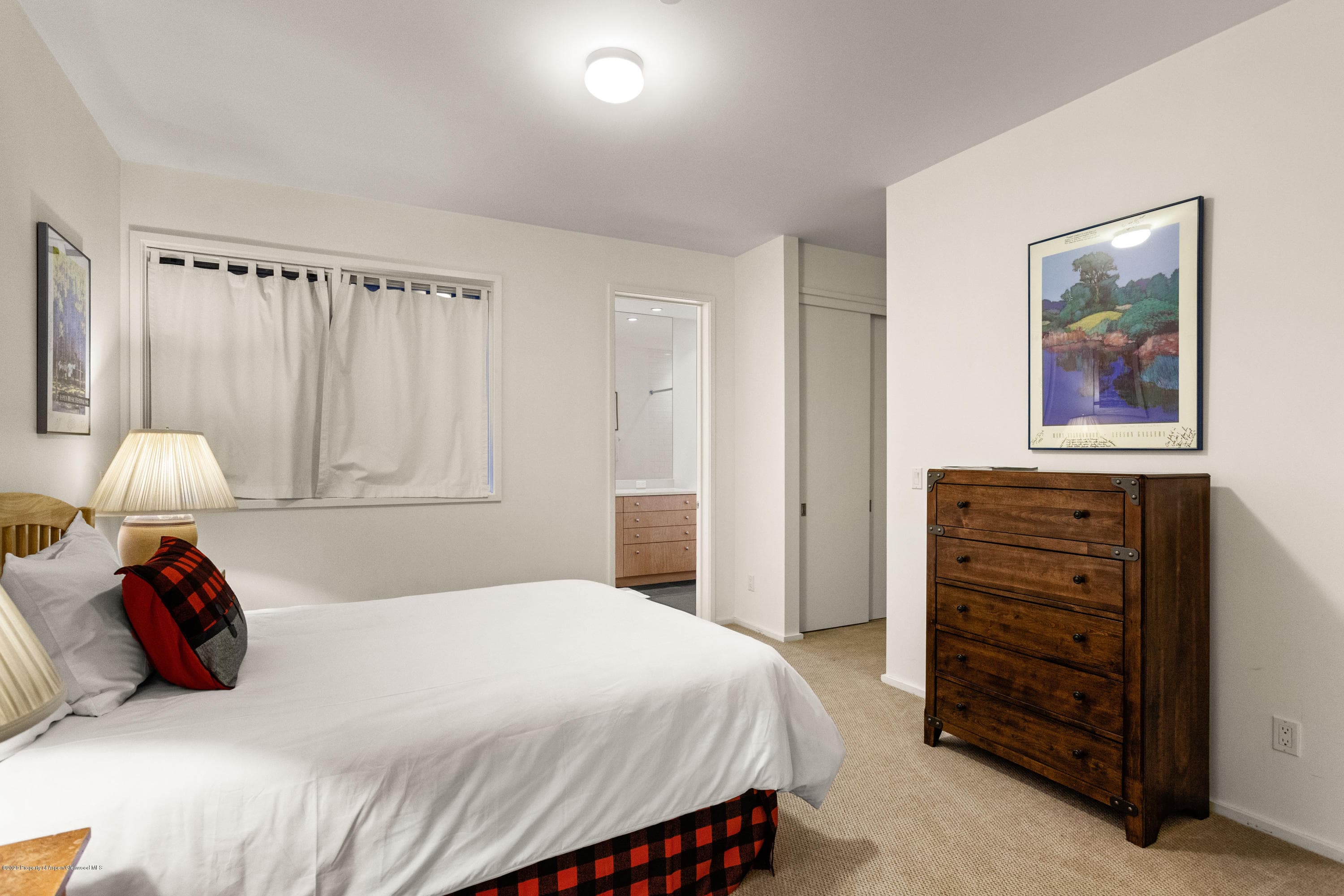 129 E Hopkins Avenue, Aspen, CO 81611 - Photo 14