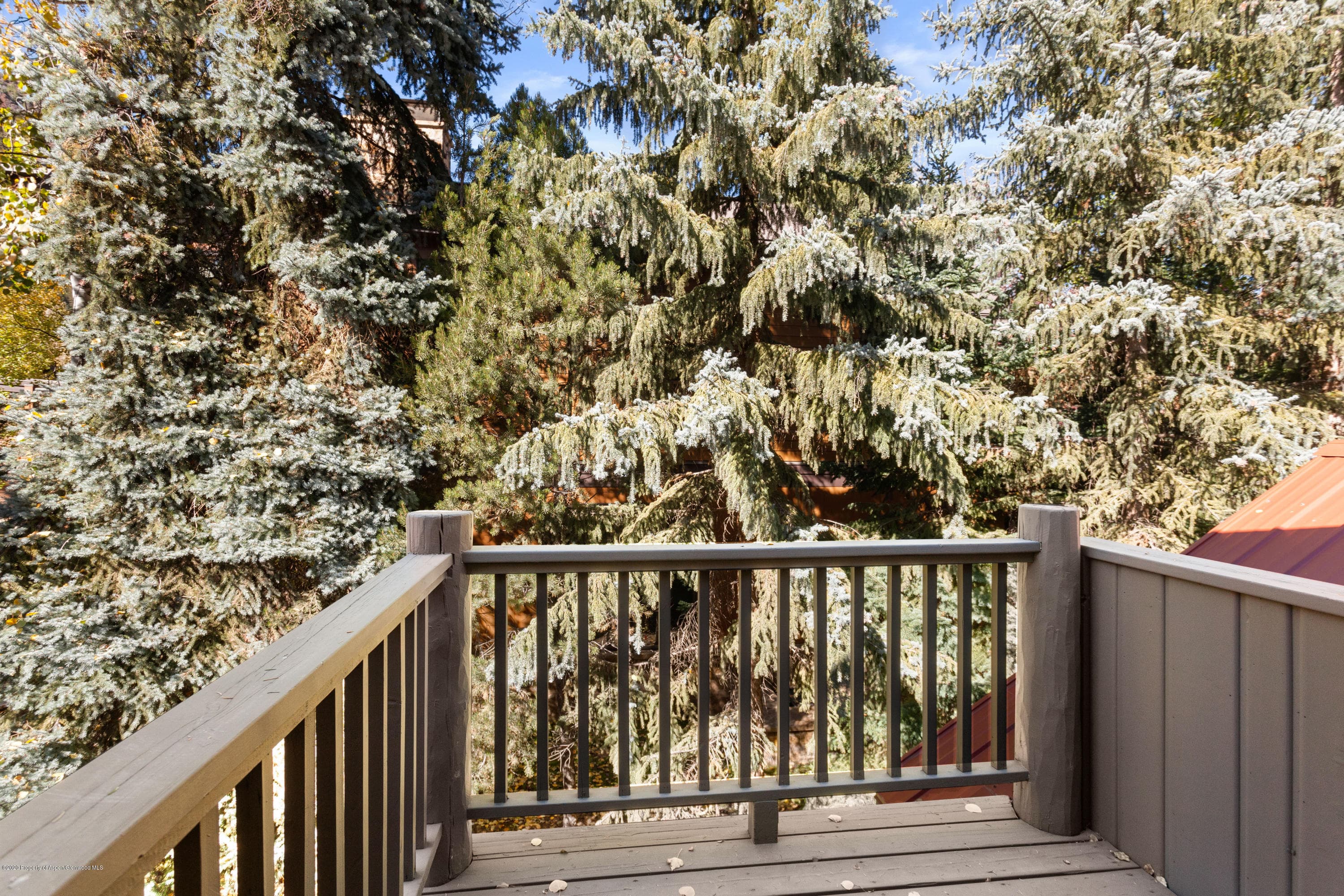 129 E Hopkins Avenue, Aspen, CO 81611 - Photo 15