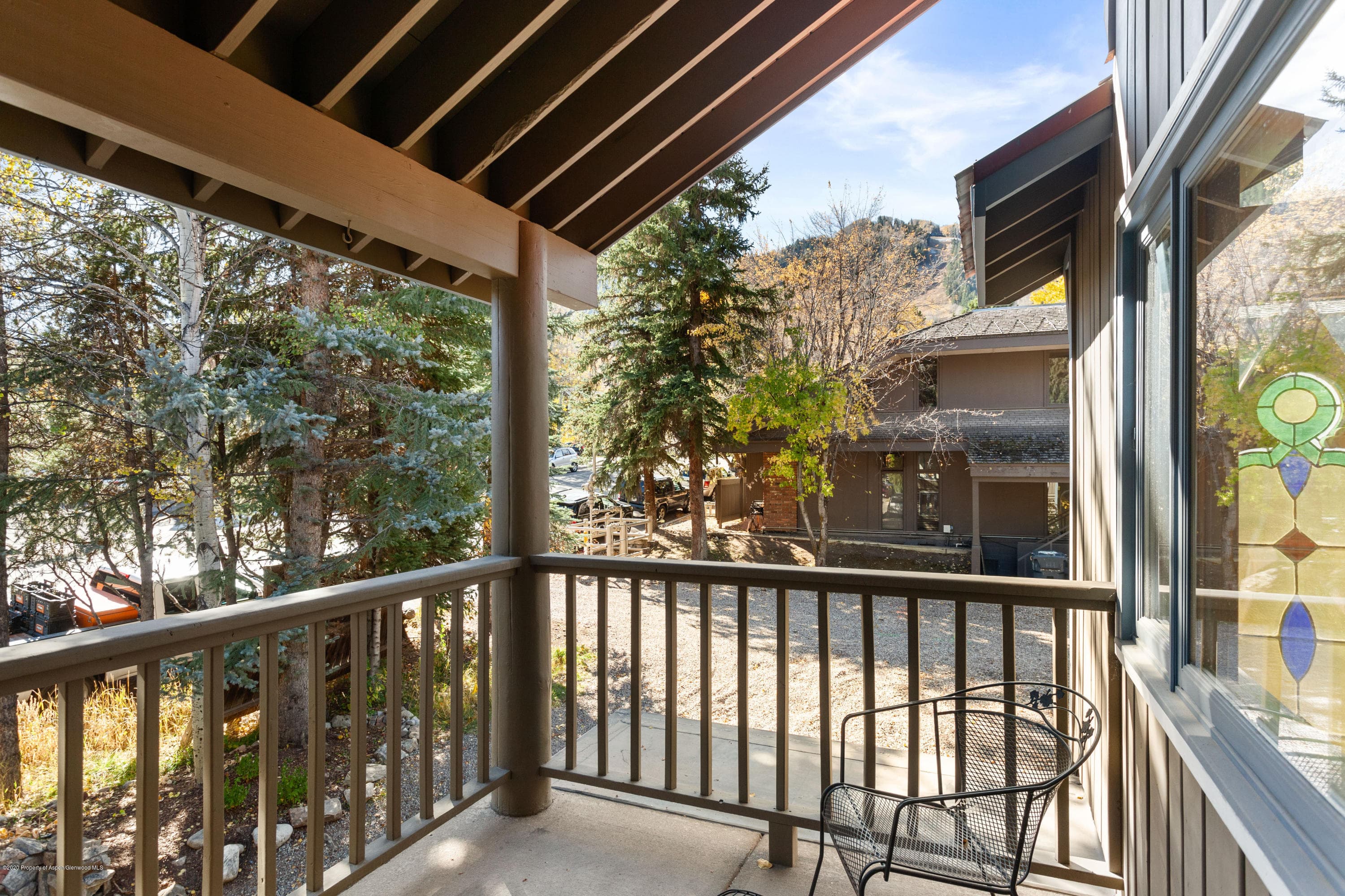 129 E Hopkins Avenue, Aspen, CO 81611 - Photo 20