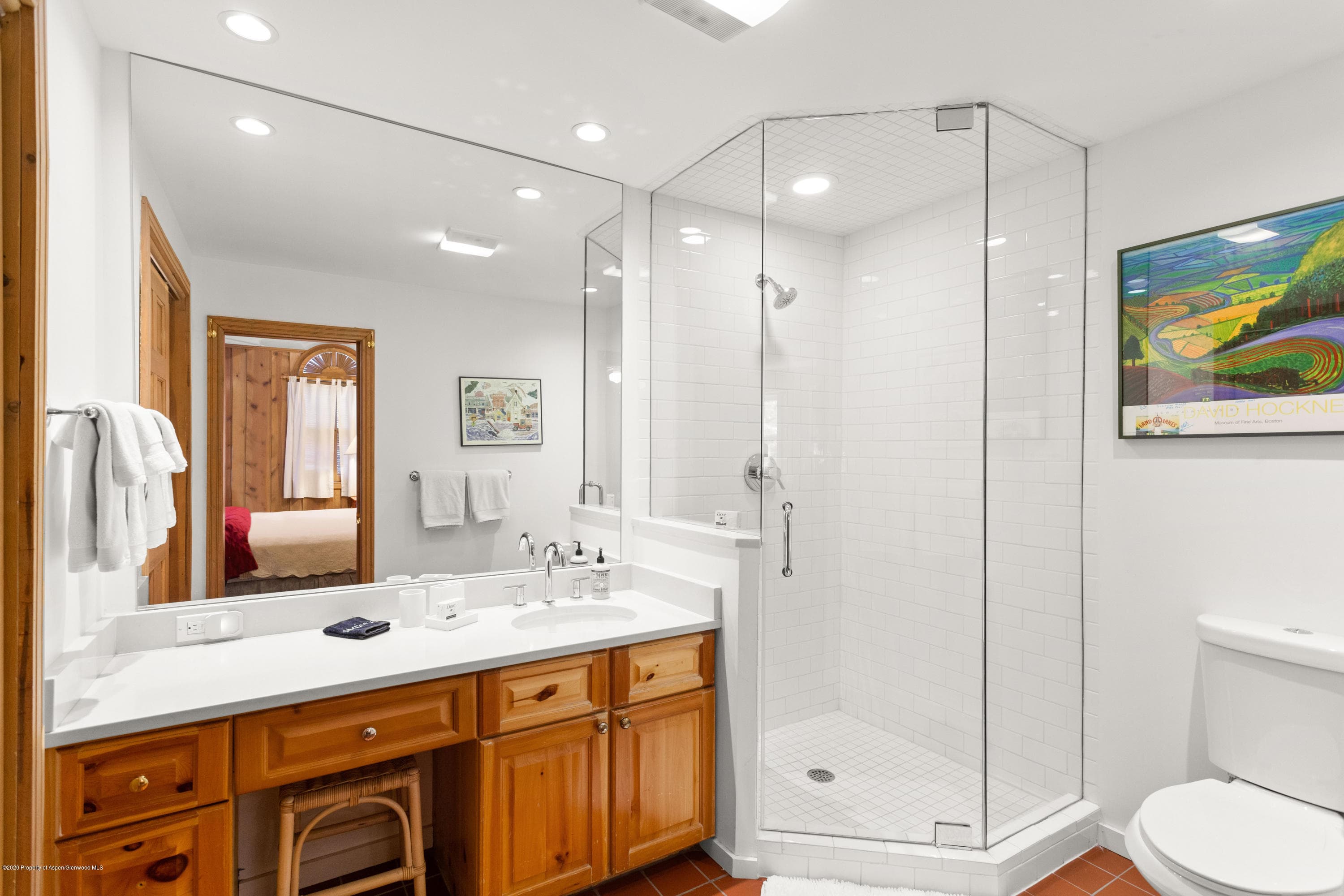 129 E Hopkins Avenue, Aspen, CO 81611 - Photo 25