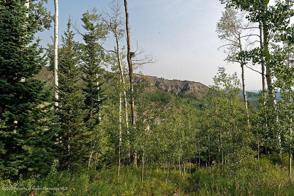 318 Ridge Road, Snowmass Village, CO 81615 - Photo 9
