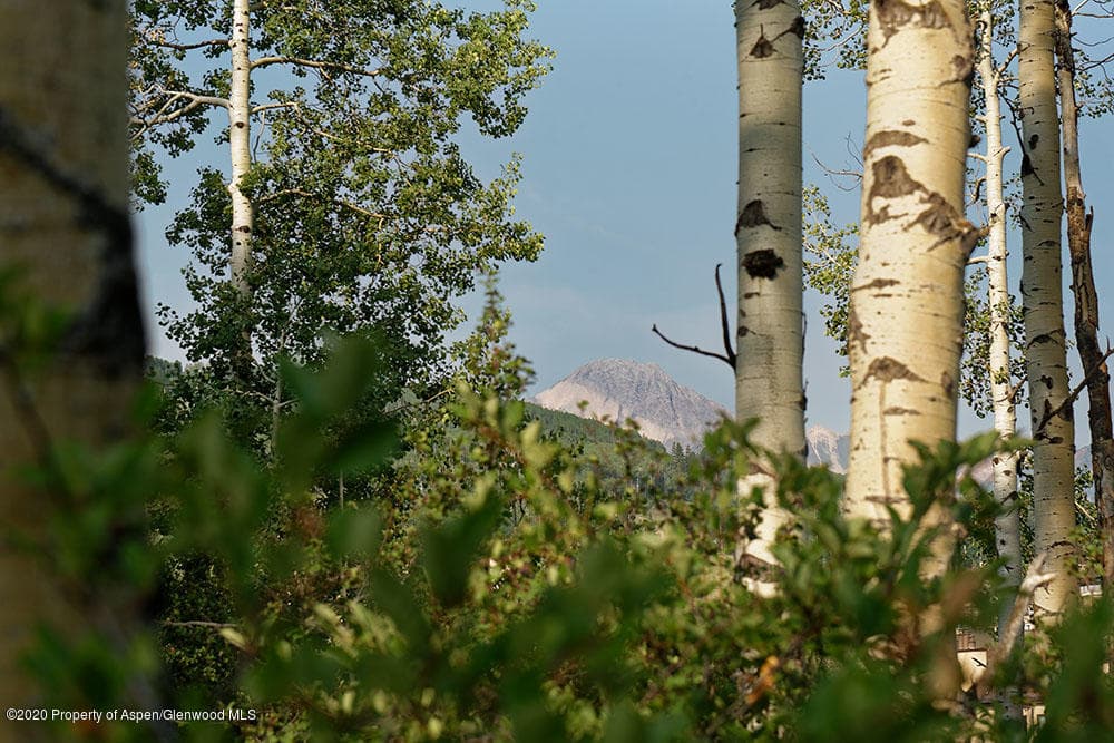 318 Ridge Road, Snowmass Village, CO 81615 - Photo 6