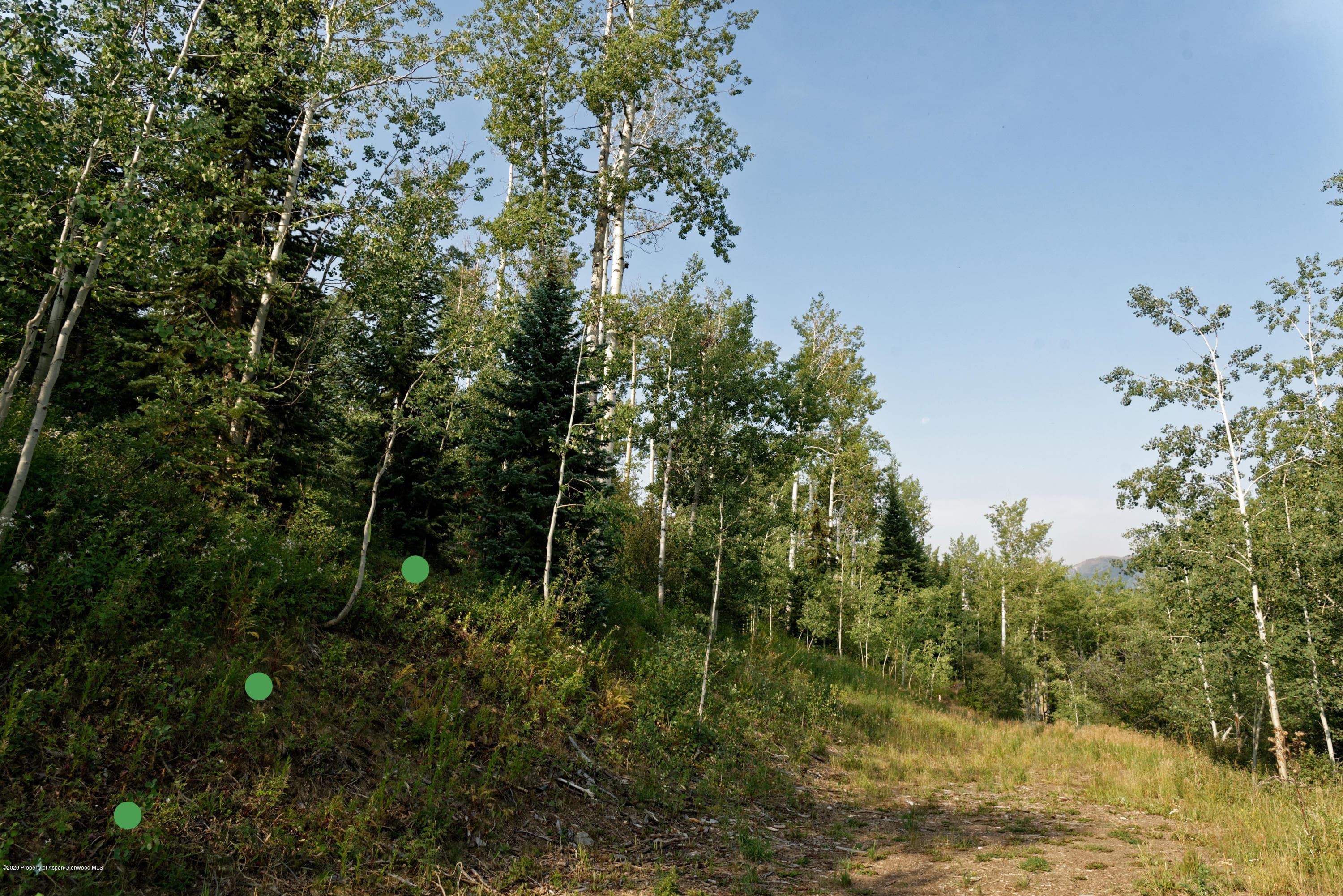 318 Ridge Road, Snowmass Village, CO 81615 - Photo 5