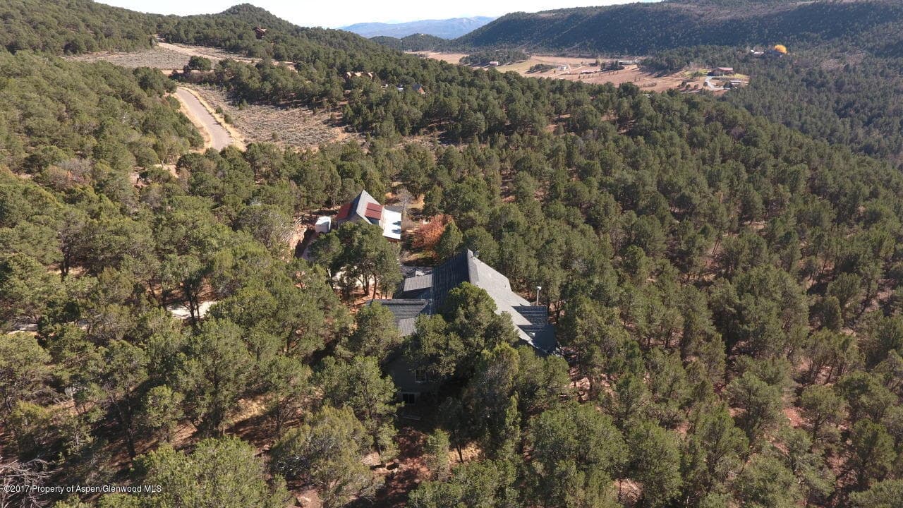 155 Maroon Mesa Road, Carbondale, CO 81623 - Photo 13