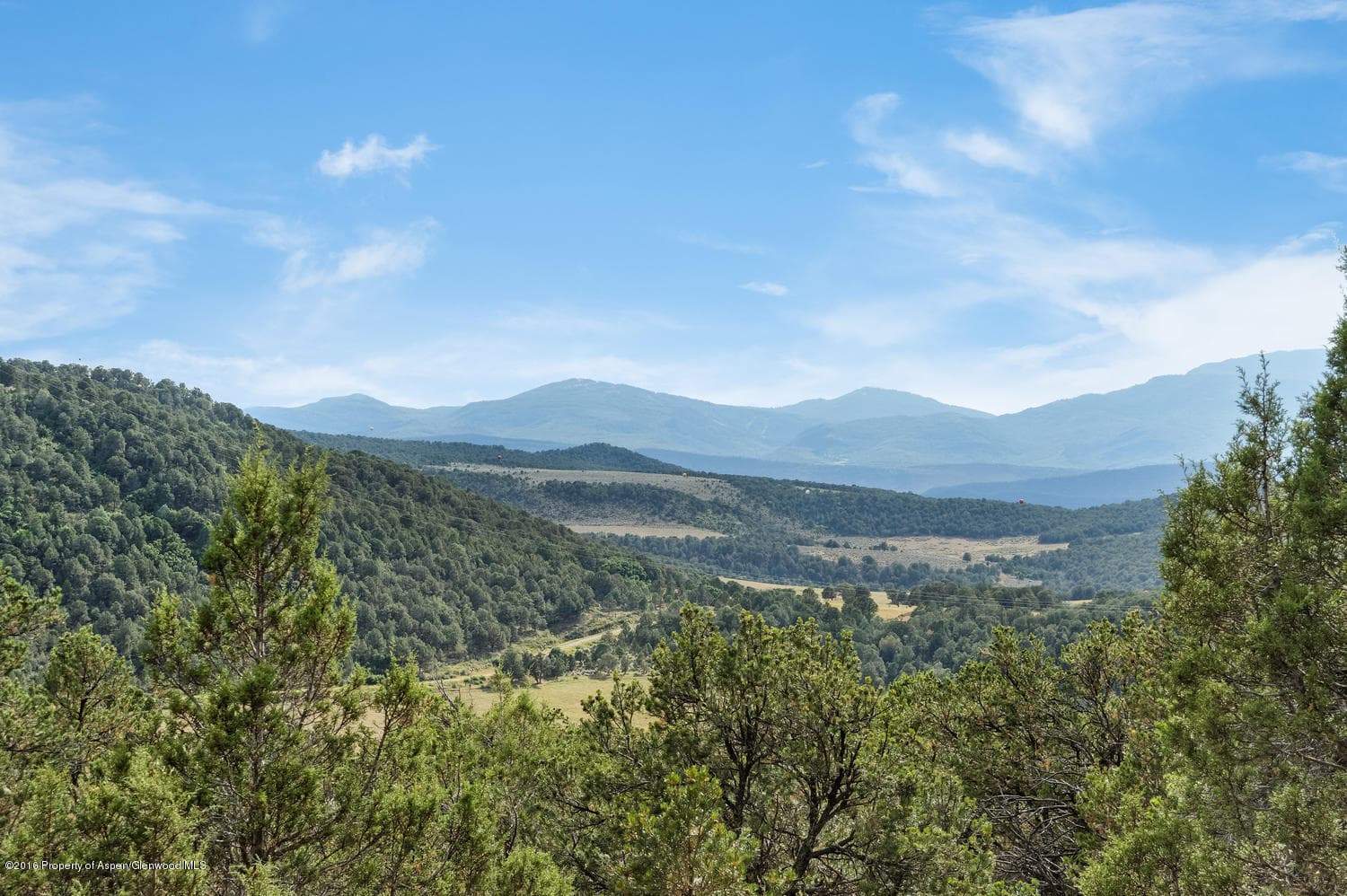 155 Maroon Mesa Road, Carbondale, CO 81623 - Photo 8