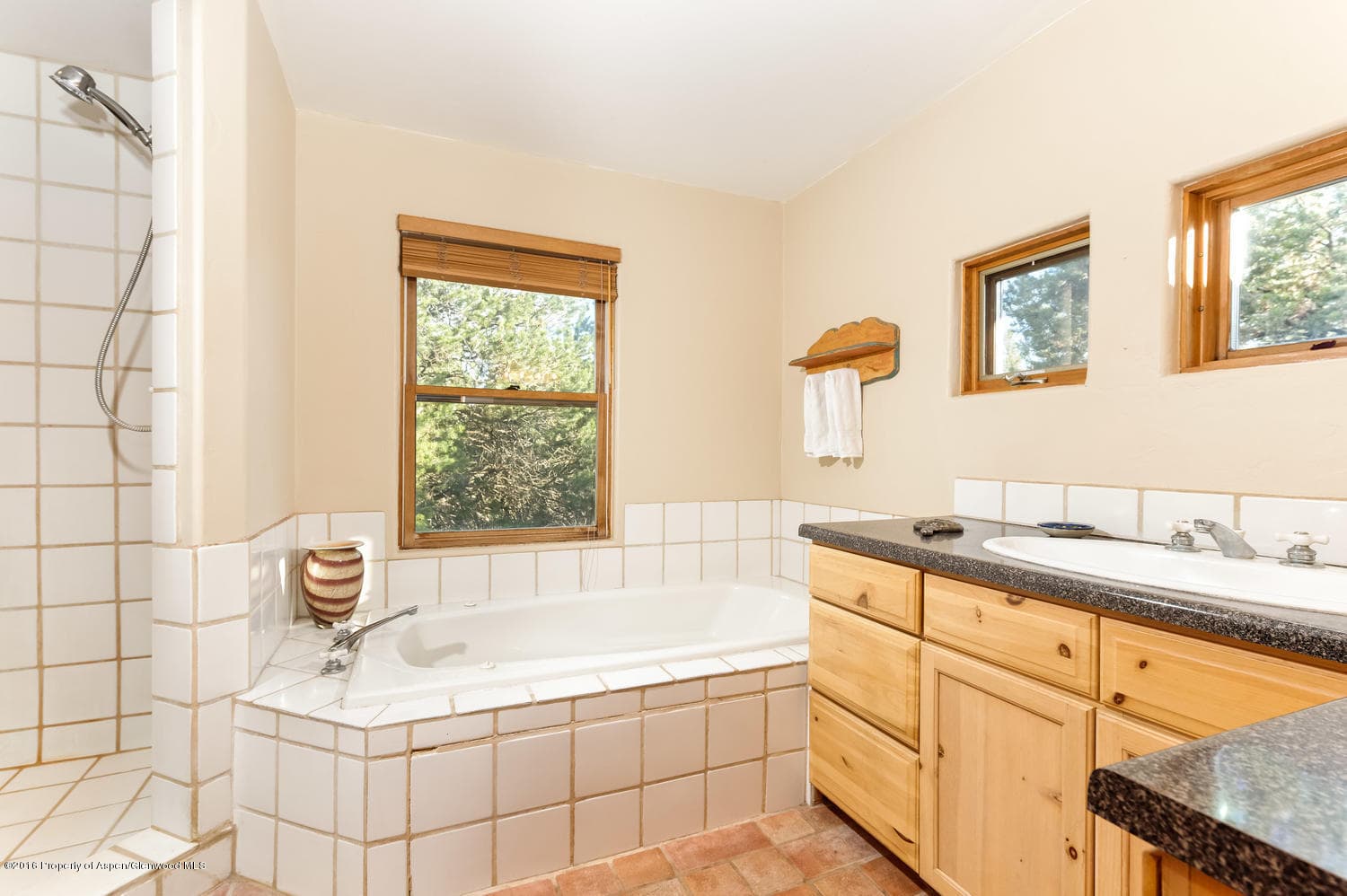 155 Maroon Mesa Road, Carbondale, CO 81623 - Photo 28