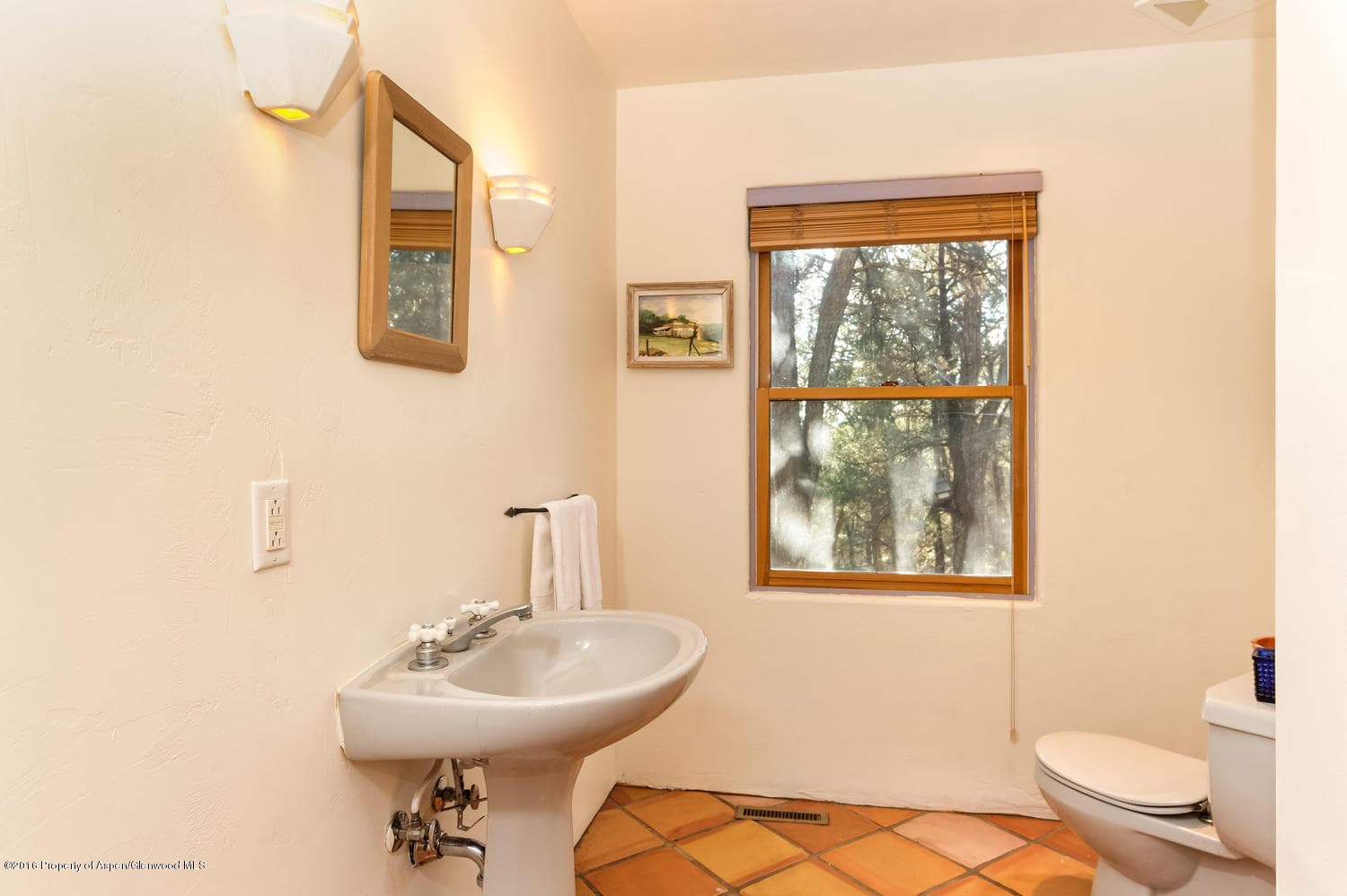 155 Maroon Mesa Road, Carbondale, CO 81623 - Photo 25