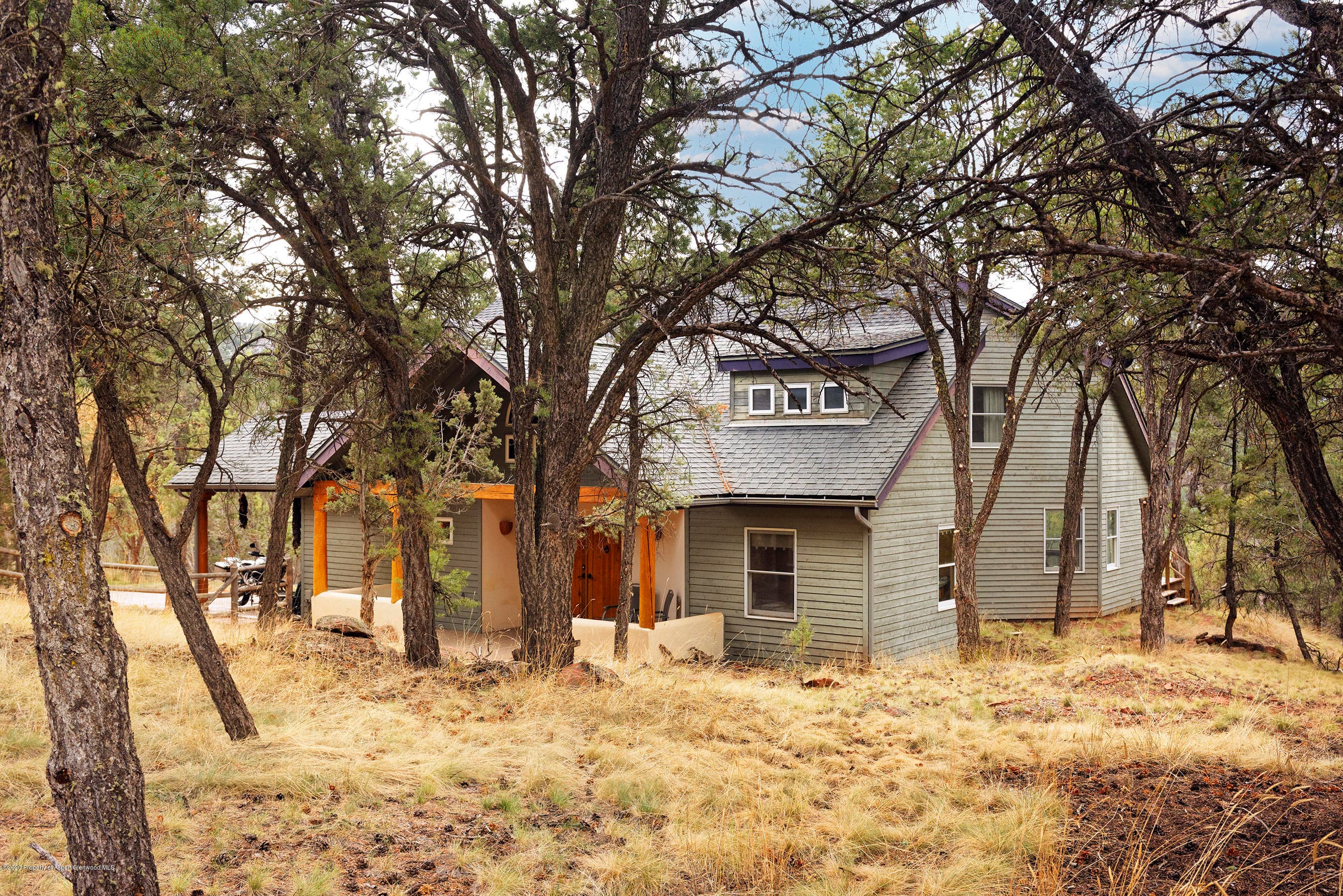 155 Maroon Mesa Road, Carbondale, CO 81623 - Photo 3