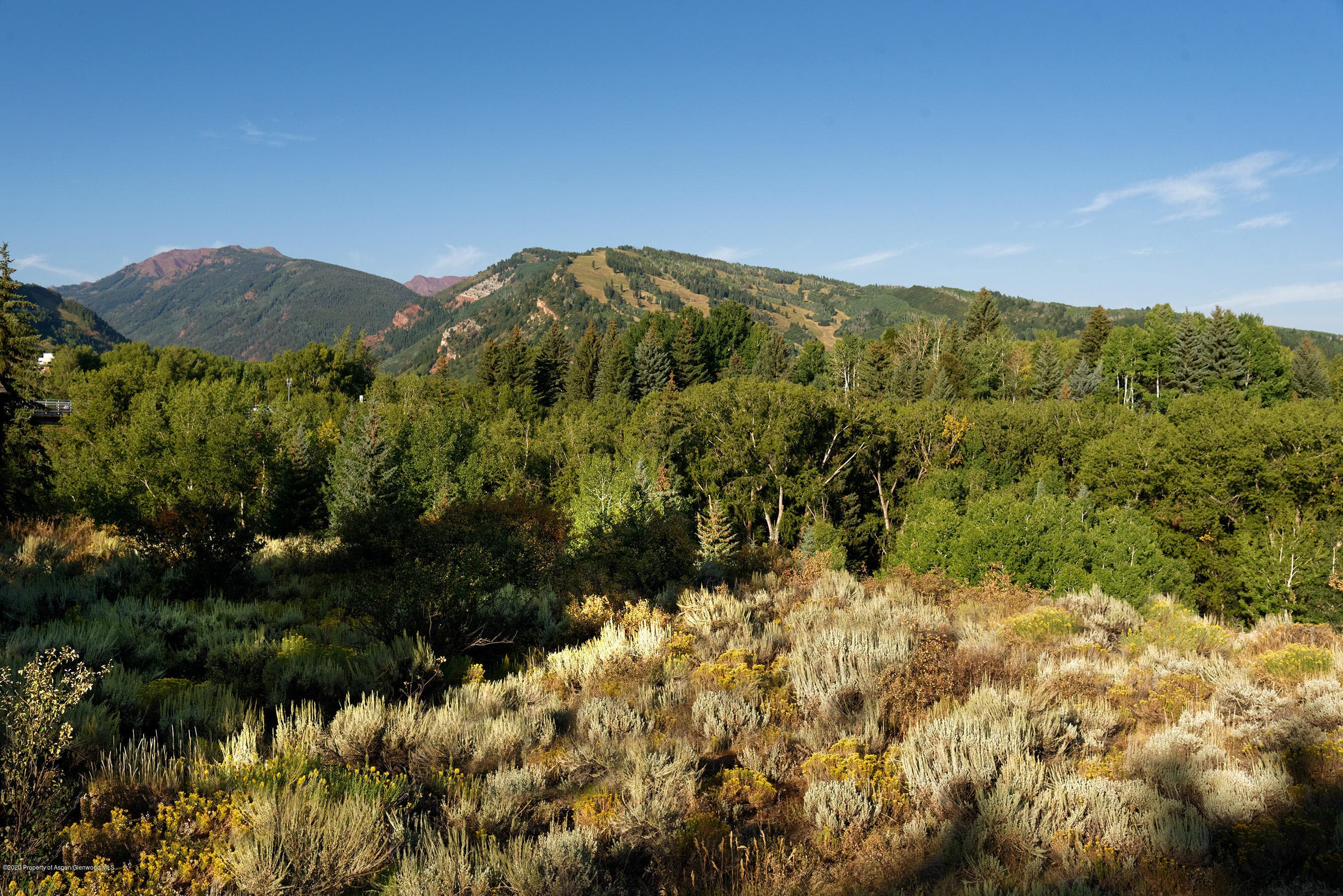 TBD W Smuggler Street, Aspen, CO 81611 - Photo 9