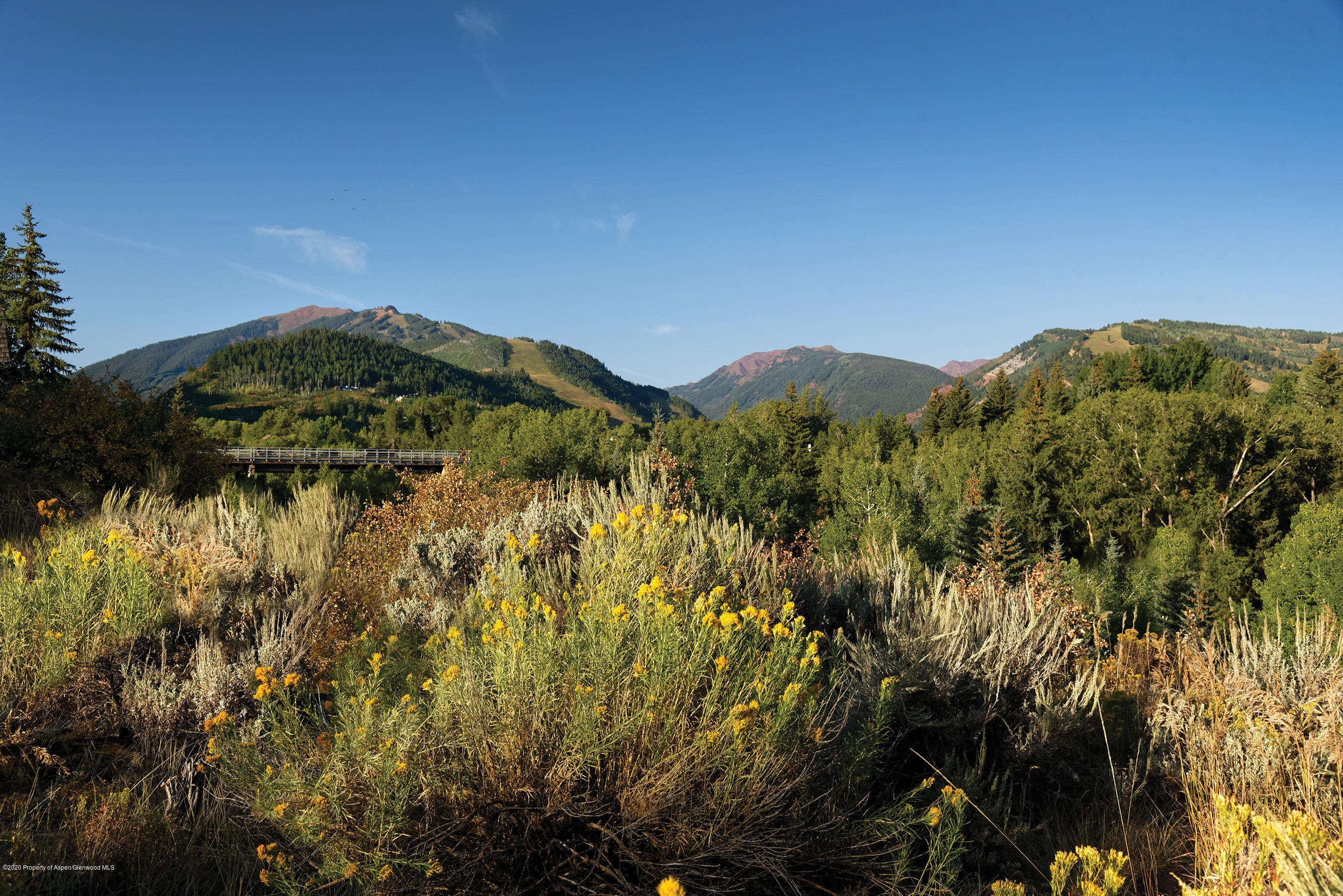 TBD W Smuggler Street, Aspen, CO 81611 - Photo 10