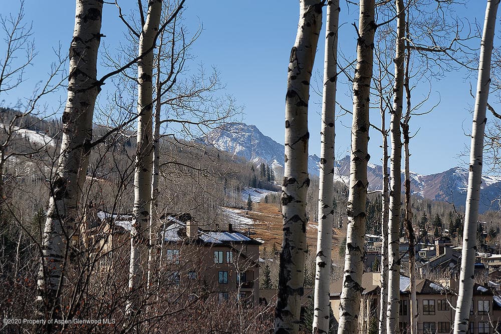 318 Ridge Road, Snowmass Village, CO 81615 - Photo 12