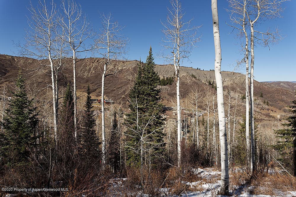 318 Ridge Road, Snowmass Village, CO 81615 - Photo 13
