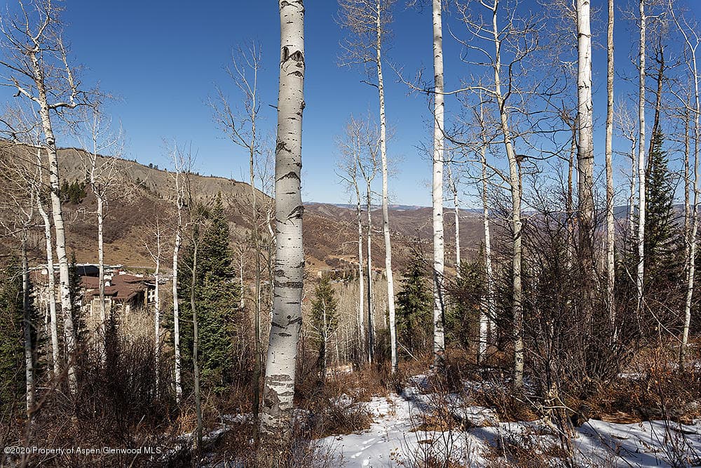 318 Ridge Road, Snowmass Village, CO 81615 - Photo 14