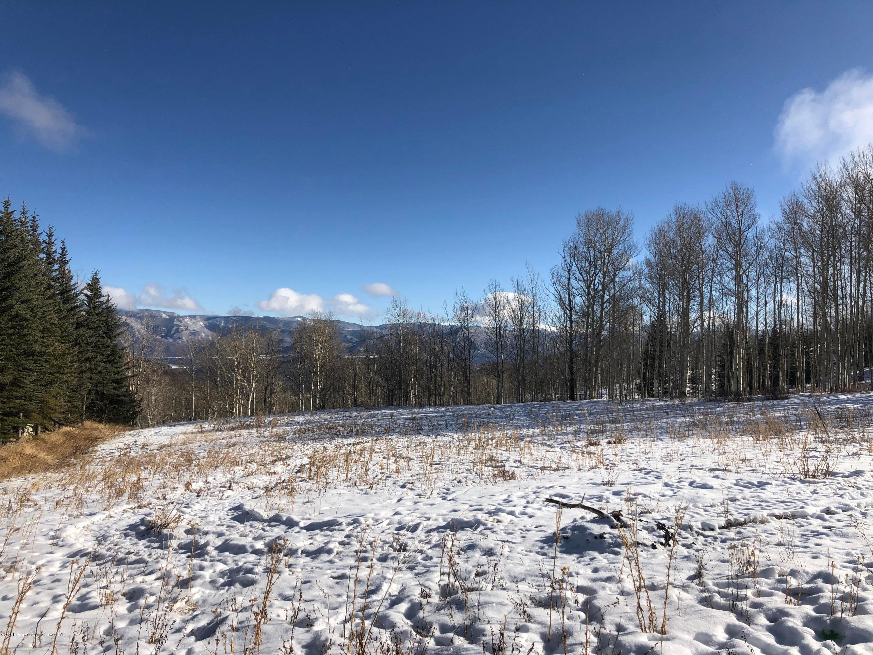 0209 Divide Drive, Aspen, CO 81611 - Photo 2