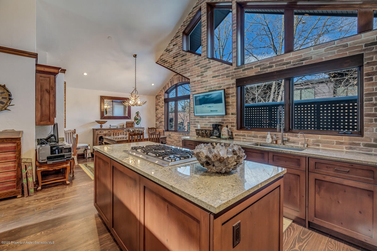 212 E Durant Avenue D, Aspen, CO 81611 - Photo 14