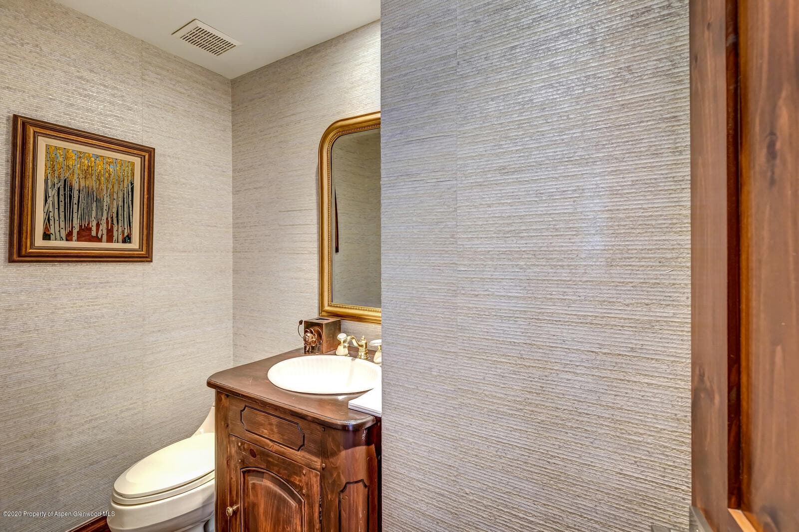 212 E Durant Avenue D, Aspen, CO 81611 - Photo 23