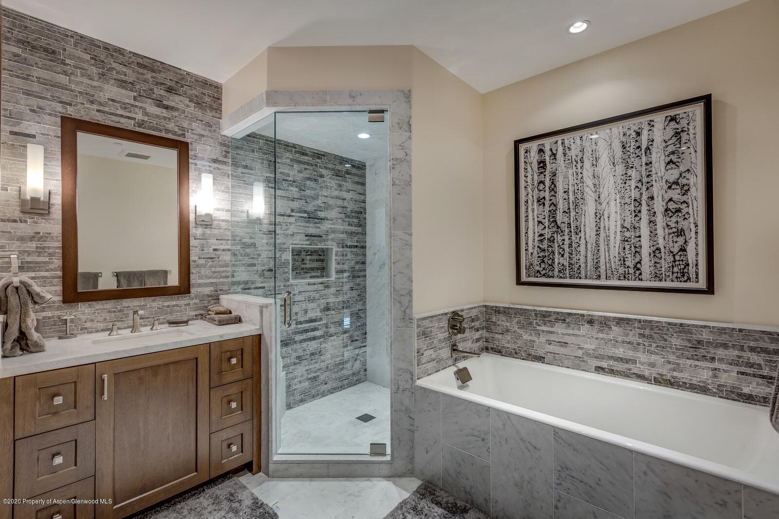 212 E Durant Avenue D, Aspen, CO 81611 - Photo 32