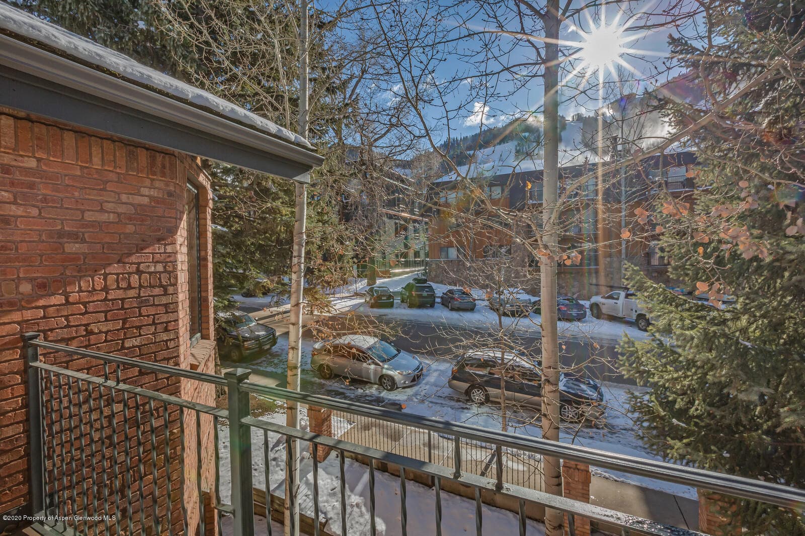 212 E Durant Avenue D, Aspen, CO 81611 - Photo 8