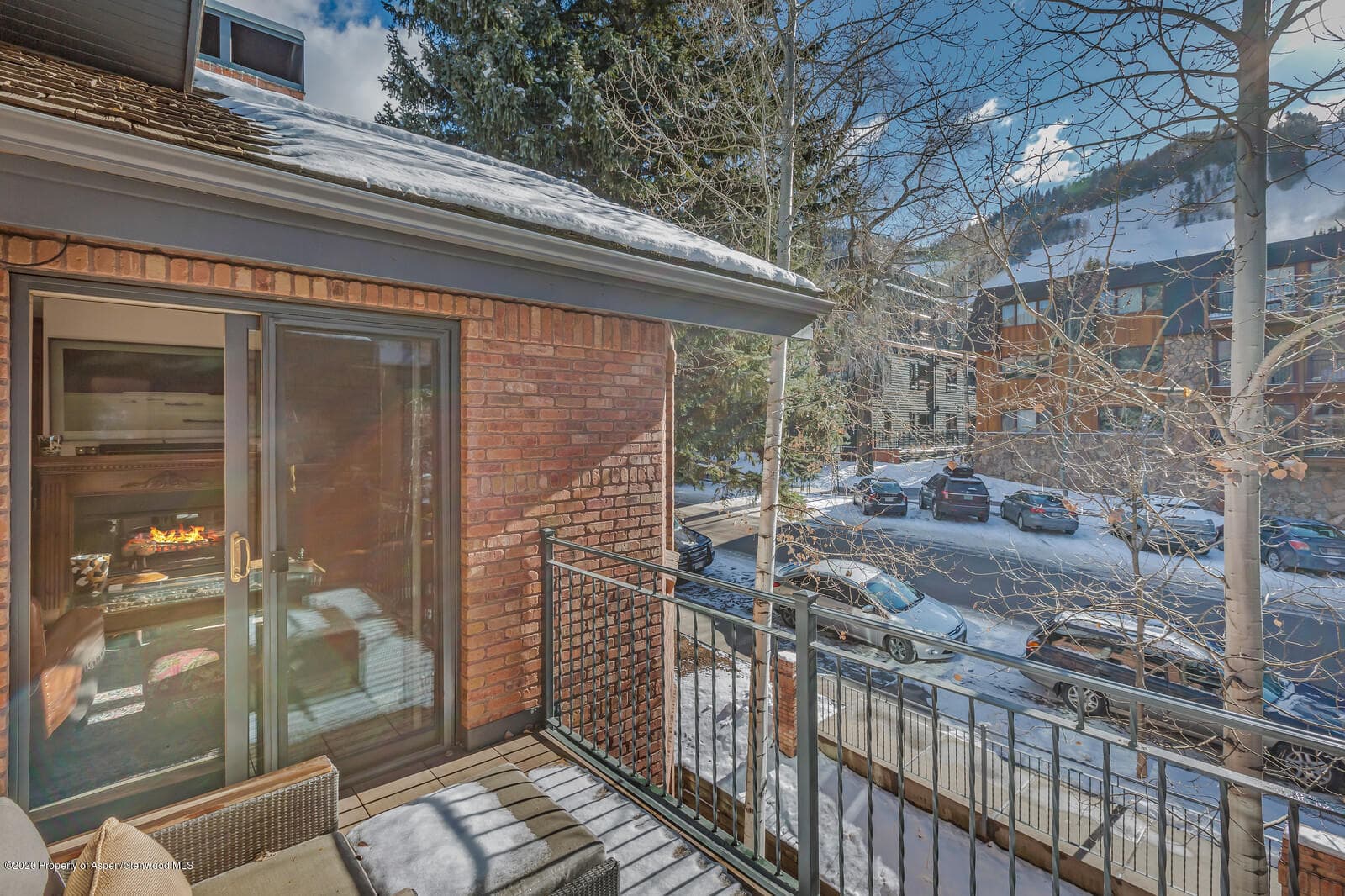 212 E Durant Avenue D, Aspen, CO 81611 - Photo 7