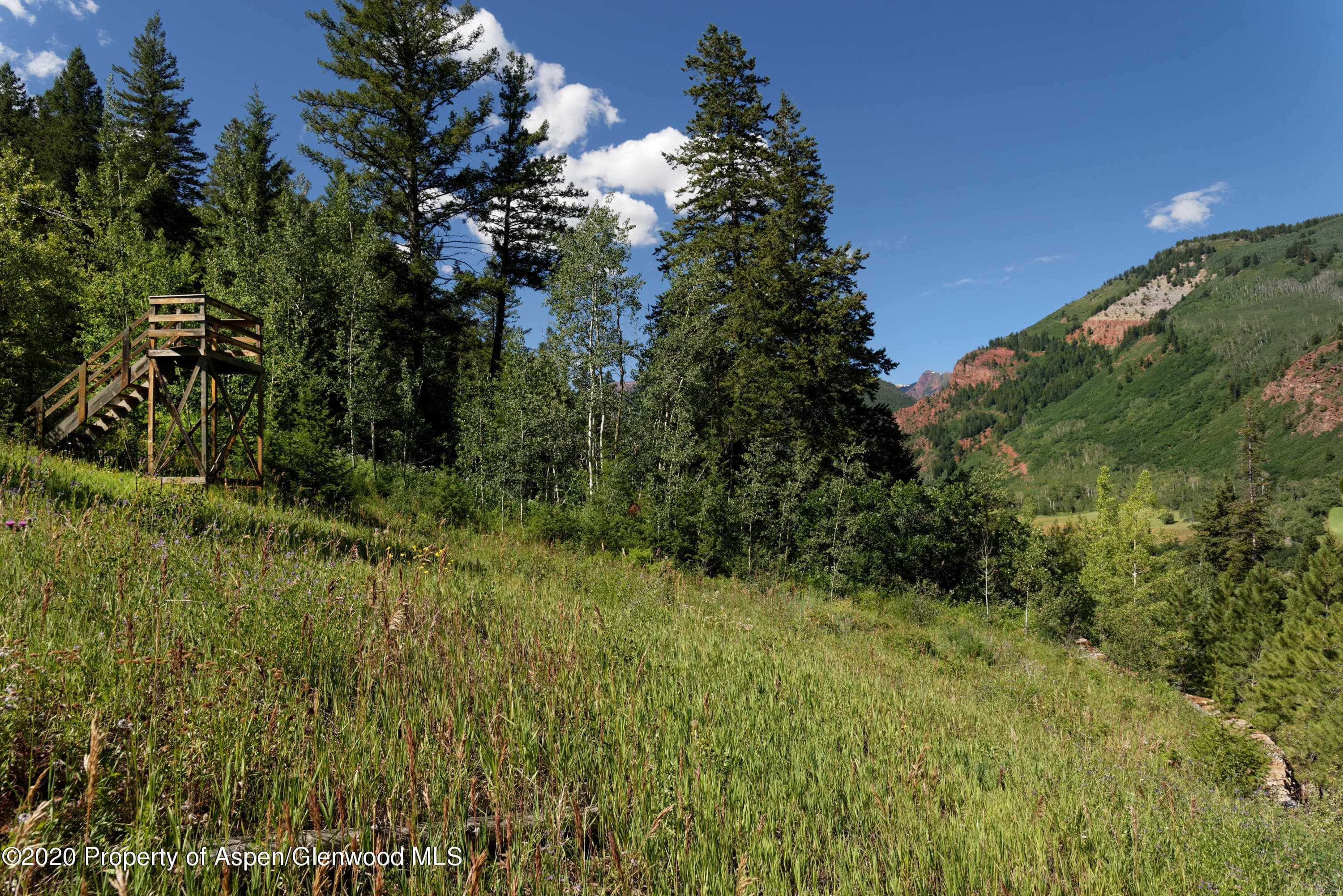 TBD Exhibition Lane, Lot 2, Aspen, CO 81611 - Photo 11