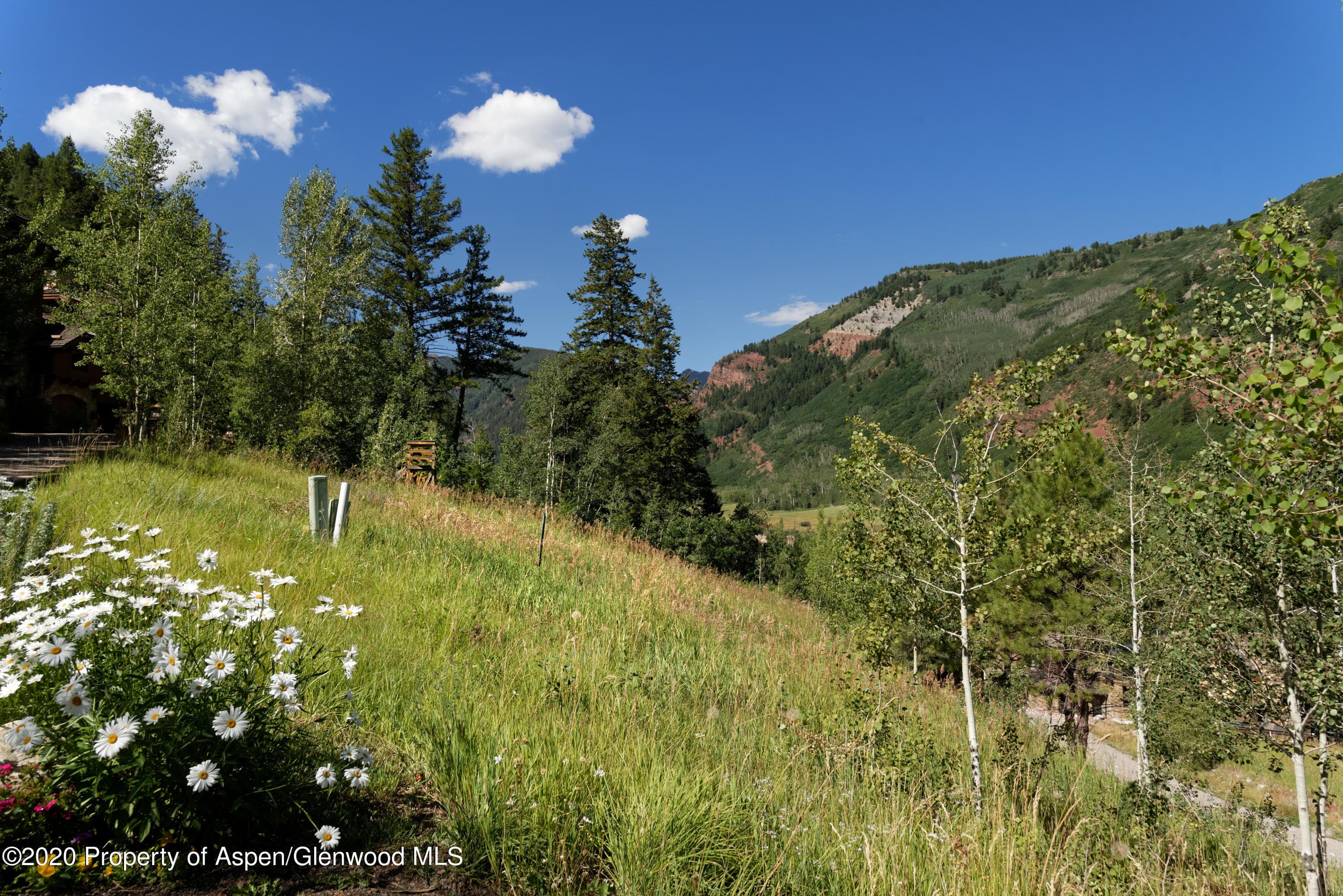 TBD Exhibition Lane, Lot 2, Aspen, CO 81611 - Photo 21