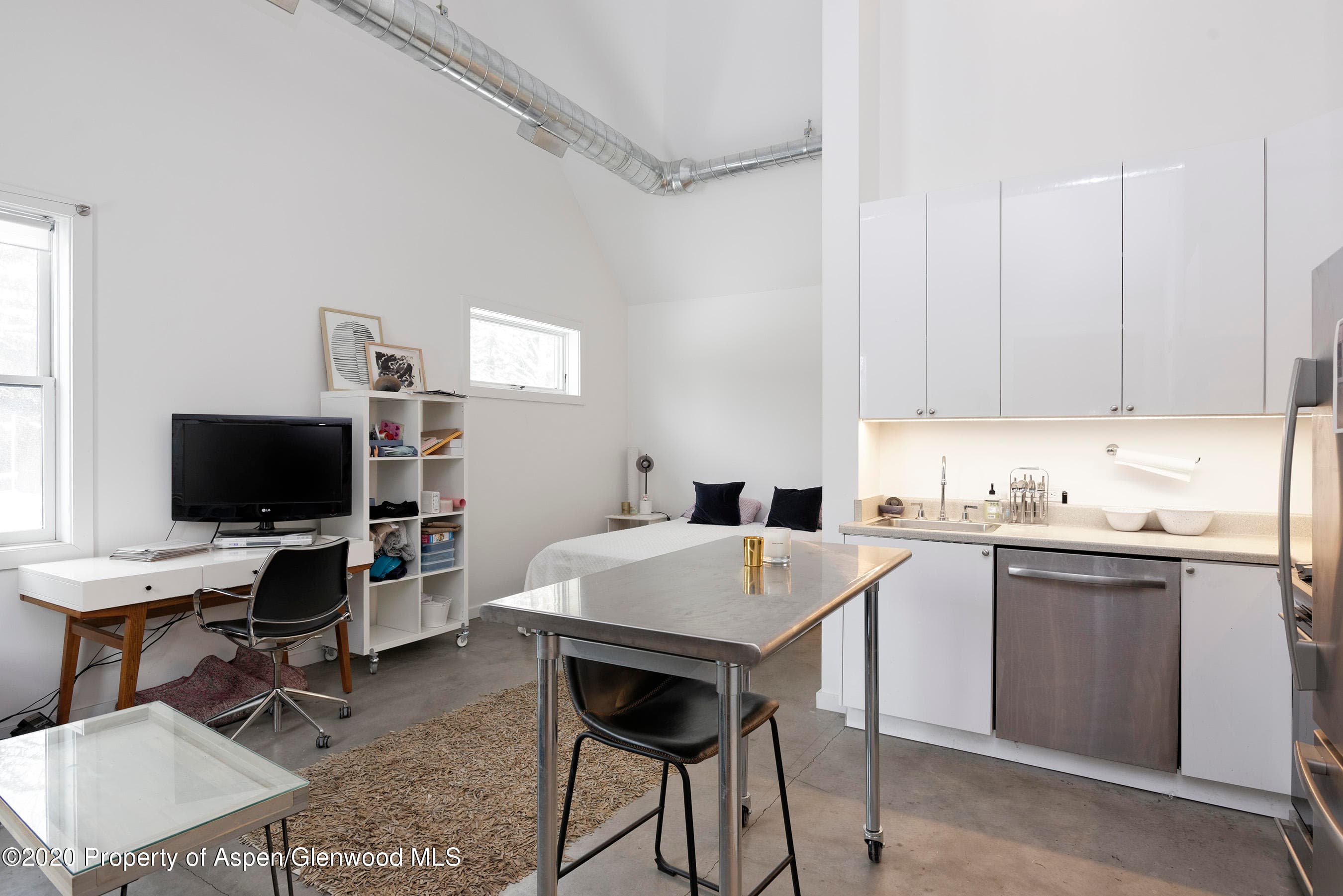 100 S Spring Street, Aspen, CO 81611 - Photo 19