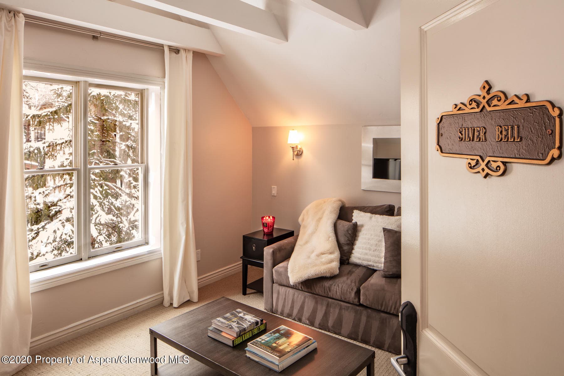 118 E Cooper Avenue, Aspen, CO 81611 - Photo 15