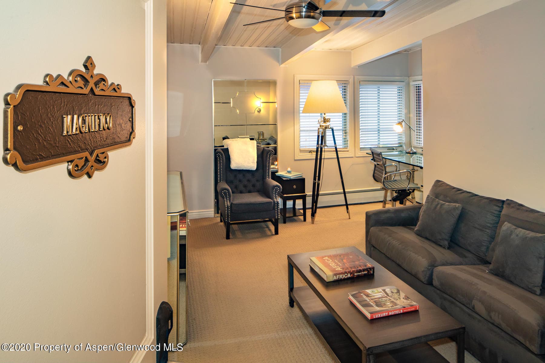 118 E Cooper Avenue, Aspen, CO 81611 - Photo 20